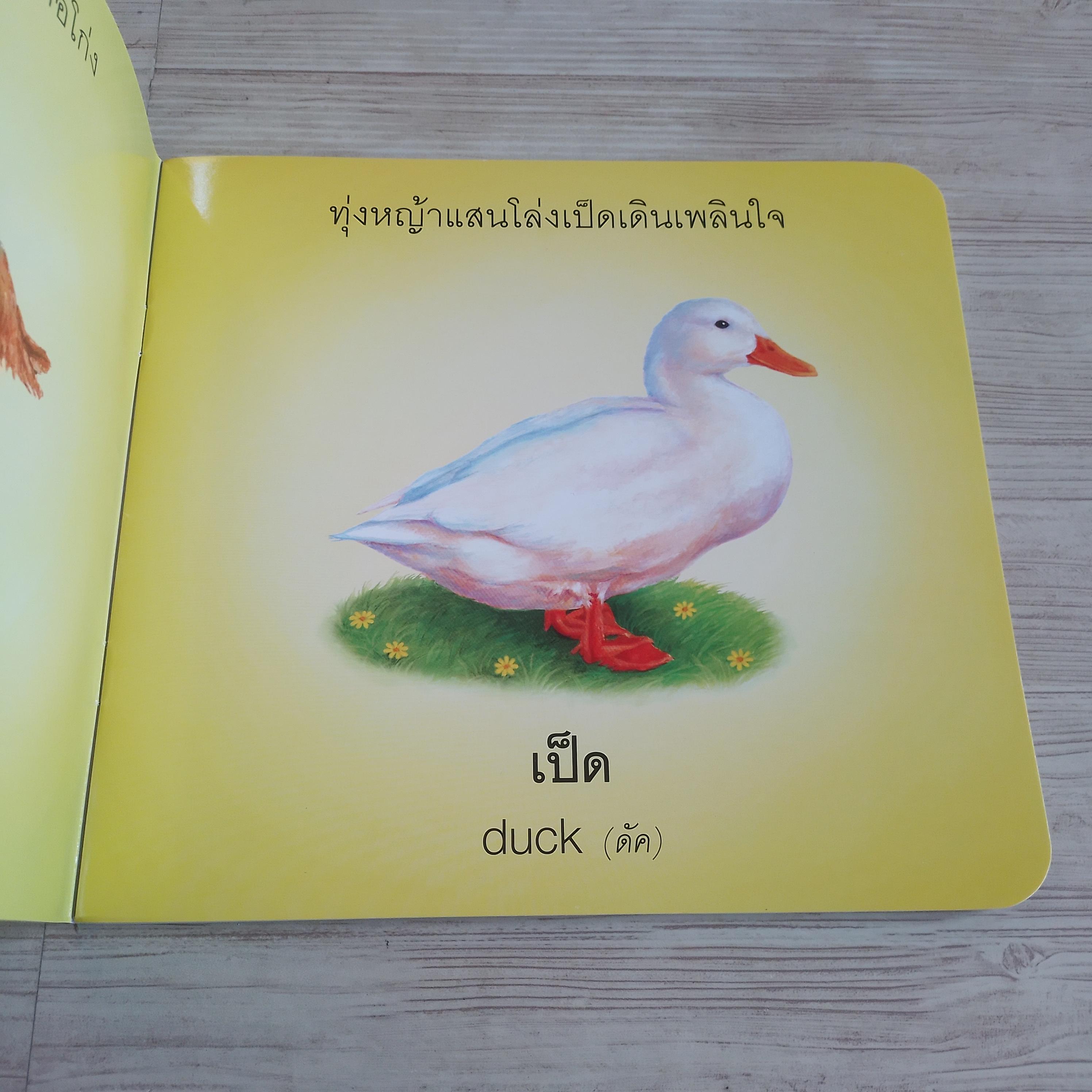 สัตว์น่ารักของหนู (My Animals) กองบรรณาธิการ เรื่อง ฐิฐฐิวดี มากบุญ ภาพ