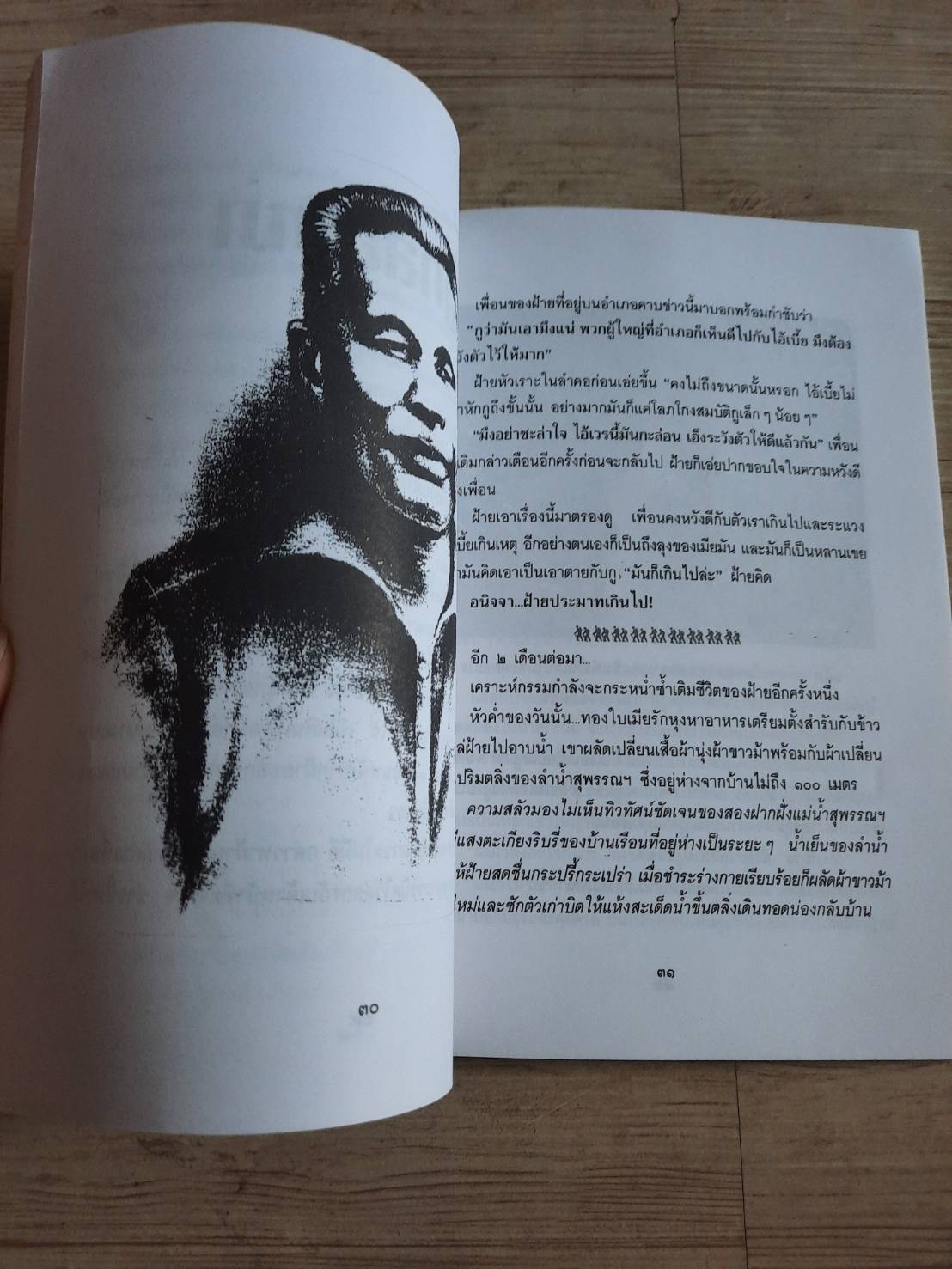 เสือฝ้าย โดย เพลิง ภูผา***สินค้าหมด***