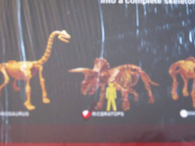 ชุดขุดฟอสซิลDig it Twice (แบบเล่นสองรอบ ขุดแล้วนำมาประกอบเป็นโมเดลได้)