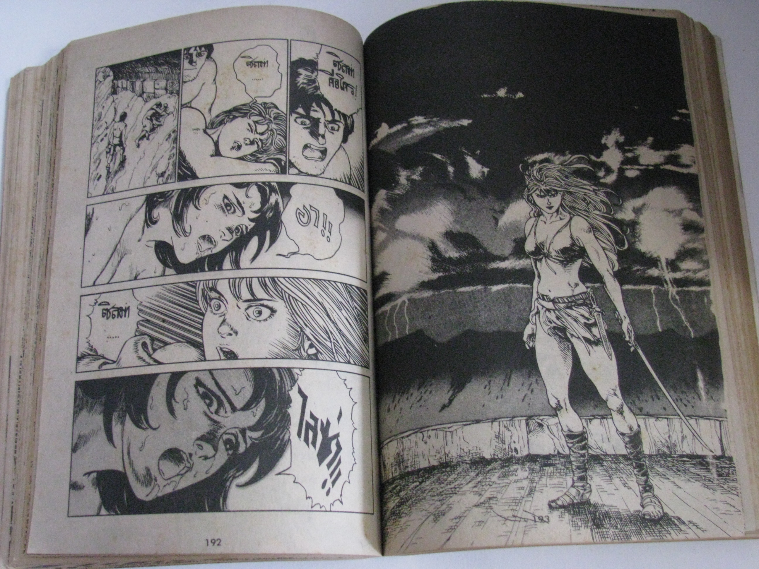 นางพญาไลซ่า เล่มเดียวจบ ***สินค้าหมด***