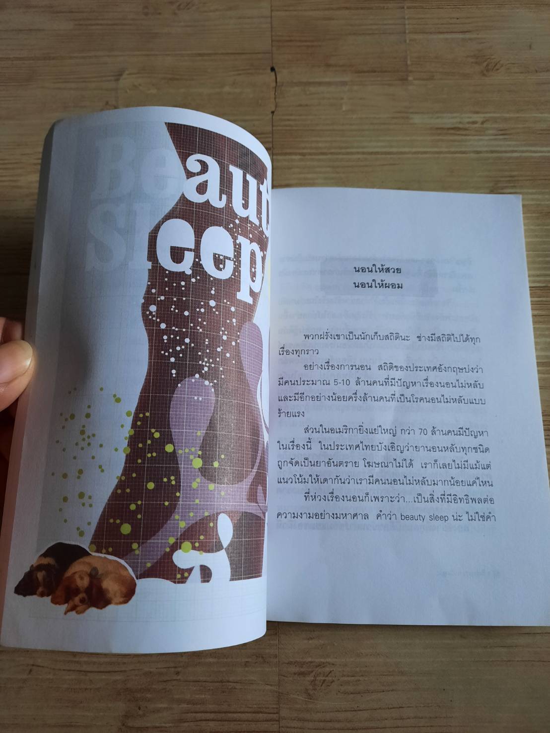 สวยอย่างฉลาด (Beauty and Logic) ปริสนา บุญสินสุข เขียน