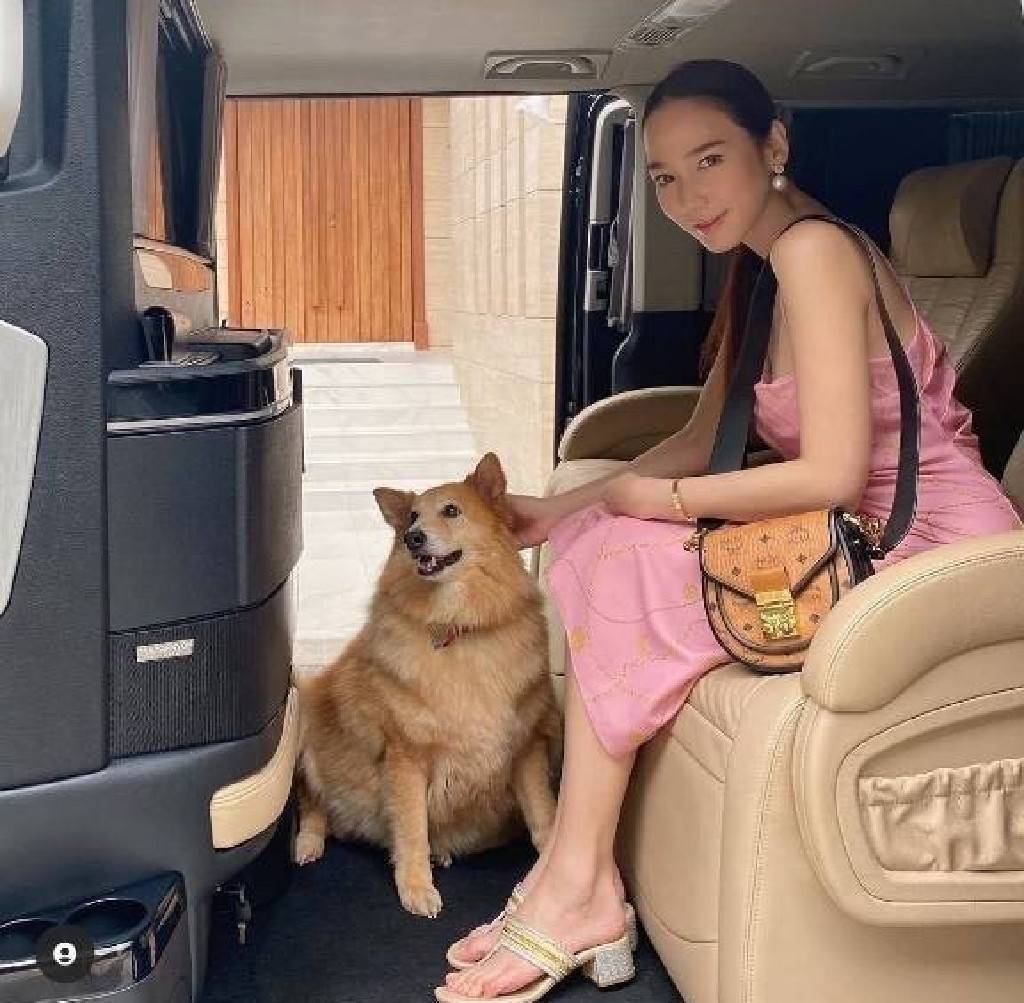 M.C.M MINI PATRICIA SHOULDER BAG IN VISETOS LEATHER BLOCK อัพเลเวลกระเป๋าของคุณด้วยไอเท็มนี้ไปเลยจ้า กระเป๋าสะพายทรง saddle ที่เก๋ไม่ซ้ำใคร ดีไซน์ขอบสีดำเพิ่มความยูนิค สวยสะดุดตา วัสดุหนังแคนวาสคุณภาพดี มาพร้อมสายสะพายหนังสีดำเรียบ และหูจับในตัว ทำให้ใช้ง