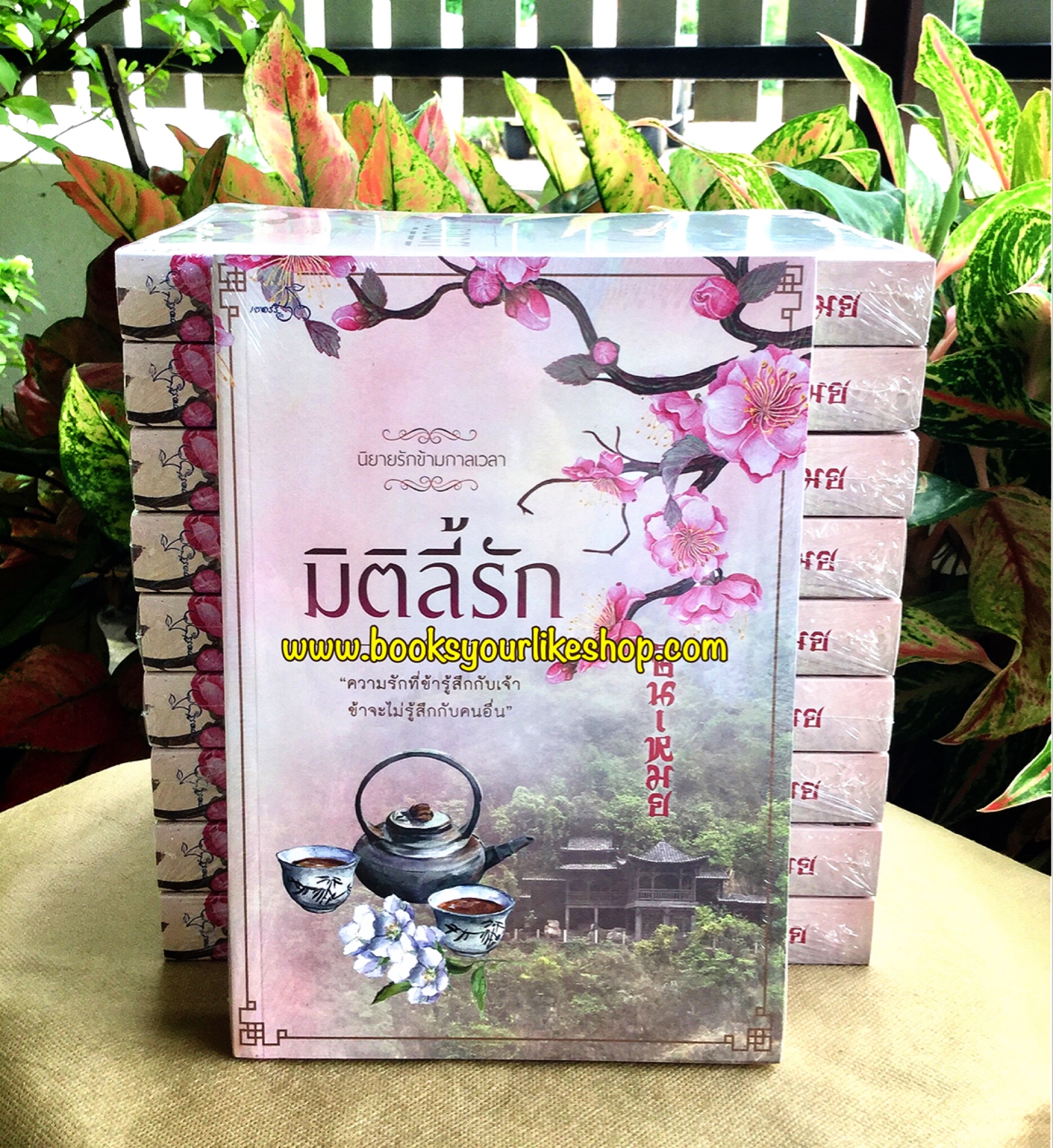 มิติลี้รัก,ซินเหมย,หนังสือใหม่,นิยายทำมือ, นิยายจีนโบราณ สนุกคะ