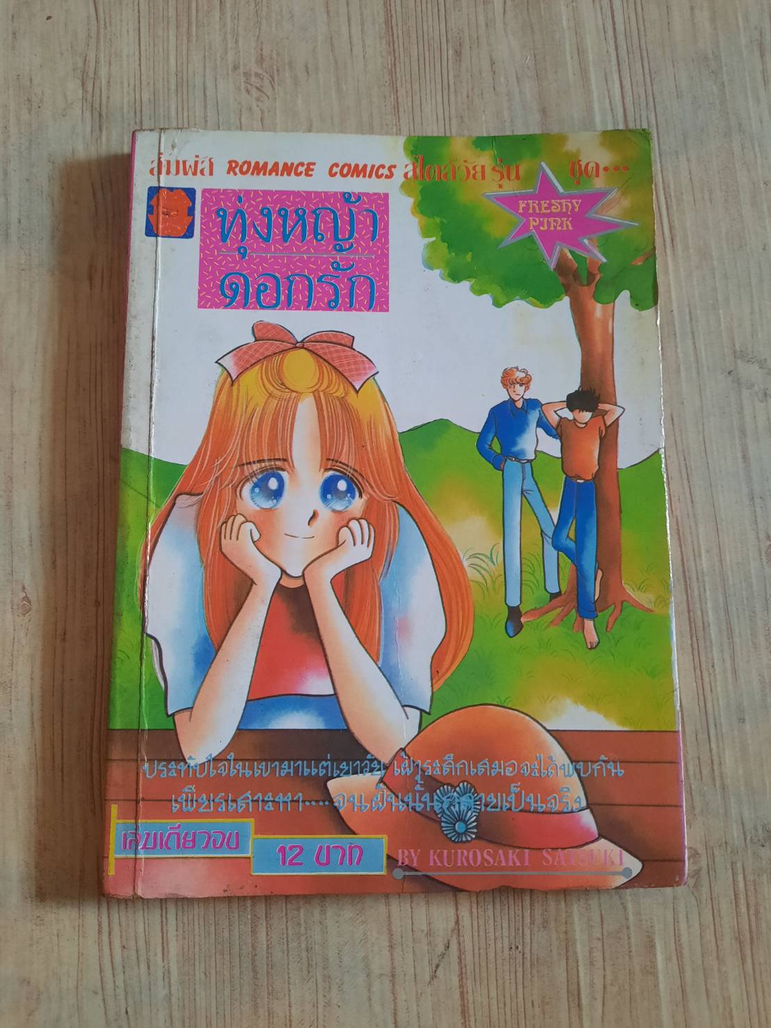 ทุ้งหญ้าดอกรัก เล่มเดียวจบ