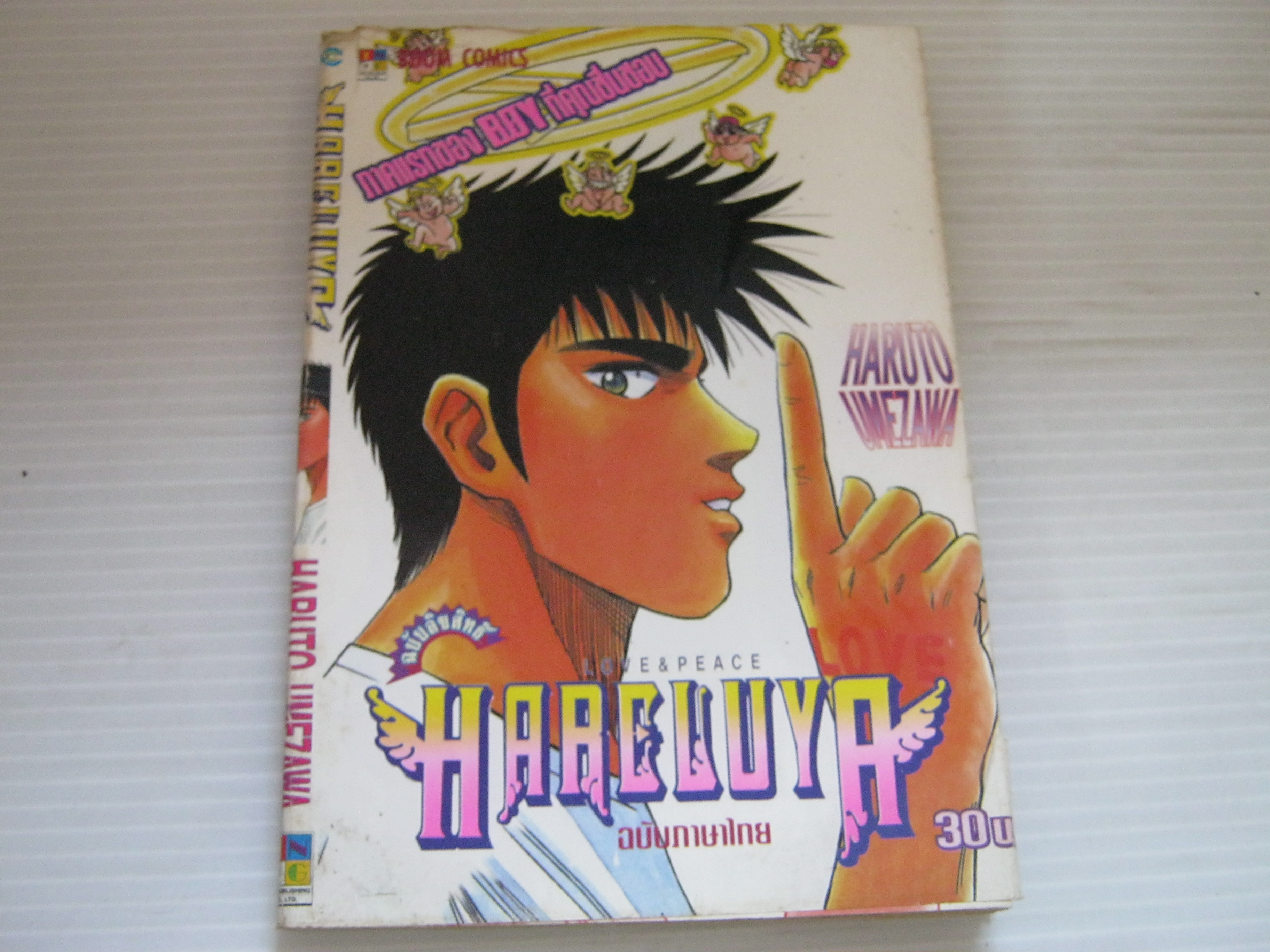 HARELUYA THE & PEACE เล่มเดียวจบ Haruto Umezawa เขียน ***สินค้าหมด***