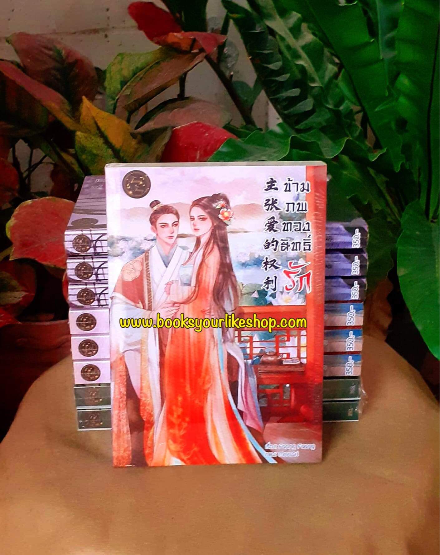 ข้ามภพทวงสิทธิ์รัก,ผู้แต่ง,FaangFaang,นิยายรักทำมือจีนโบราณ แนะนำค่ะ