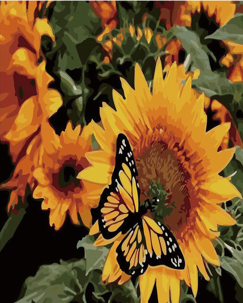 CE4244 ภาพระบายสีตามตัวเลข "ผีเสื้อกับดอกทานตะวัน"