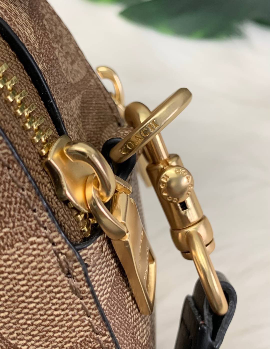 COACH SERENA SATCHEL CROSSBODY BAG กระเป๋าทรงโดมเล็ก น่ารัก แต่ใส่ของได้จุเลยทีเดียว!! มี2ช่องซิปหลัก ช่องค่อนข้างกว้าง สามารถใส่กระเป๋าเงินใบกลางได้;ของจำเป็นอื่นๆได้ครบเลยค่ะ มีช่องเล็กให้ใส่ของจุกจิก ด้านหลังมีช่องเล็กให้อีกช่องค่ะ พร้อมสายยาวถอดออกได้