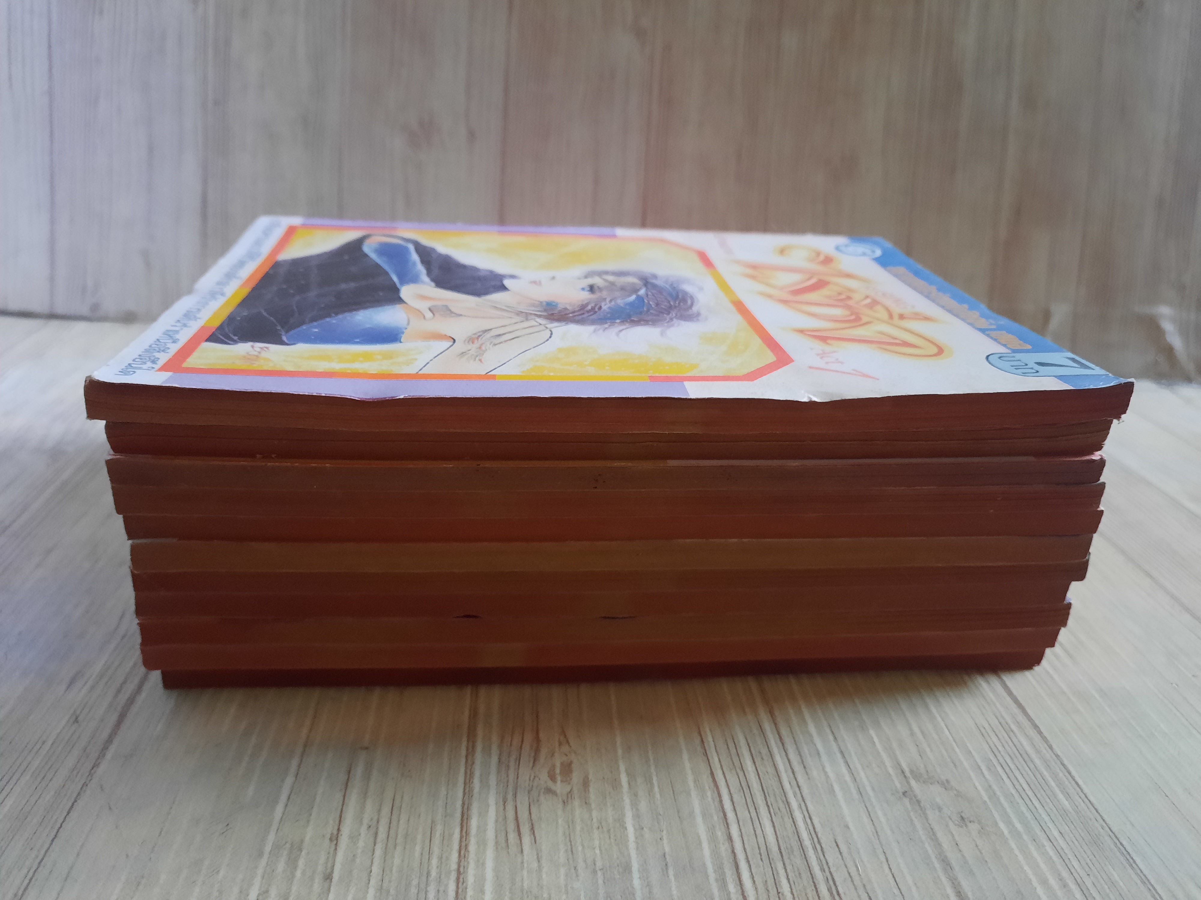 ไรซิ่ง ชุด เล่ม 1,2,4,5,6,8,9,10,13,14,17 (สภาพสะสม)