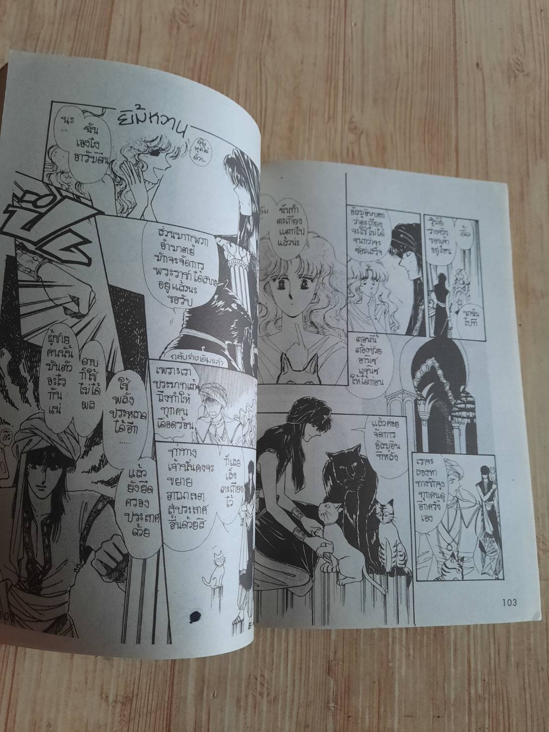 เจ้าหญิงจอมซน เล่มเดียวจบ