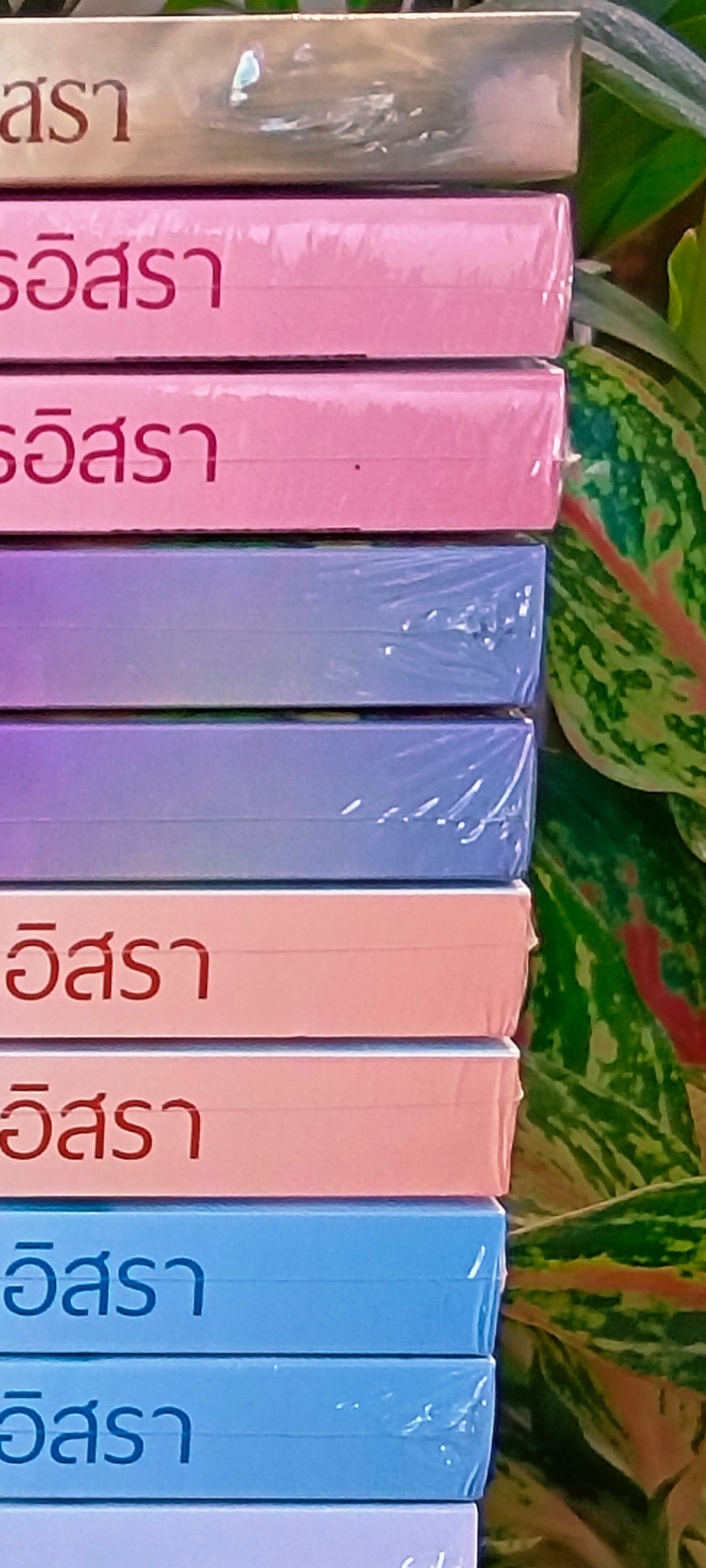 ส่งฟรี,ติรยาคว้ารัก,นิยายชุด,ปาป๊าตามหารัก ลำดับที่ 1 , ผู้แต่ง อรอิสรา,นิยายรักทำมือ ,แนะนำค่ะ***ตำหนิสันย่นจากขนส่ง***