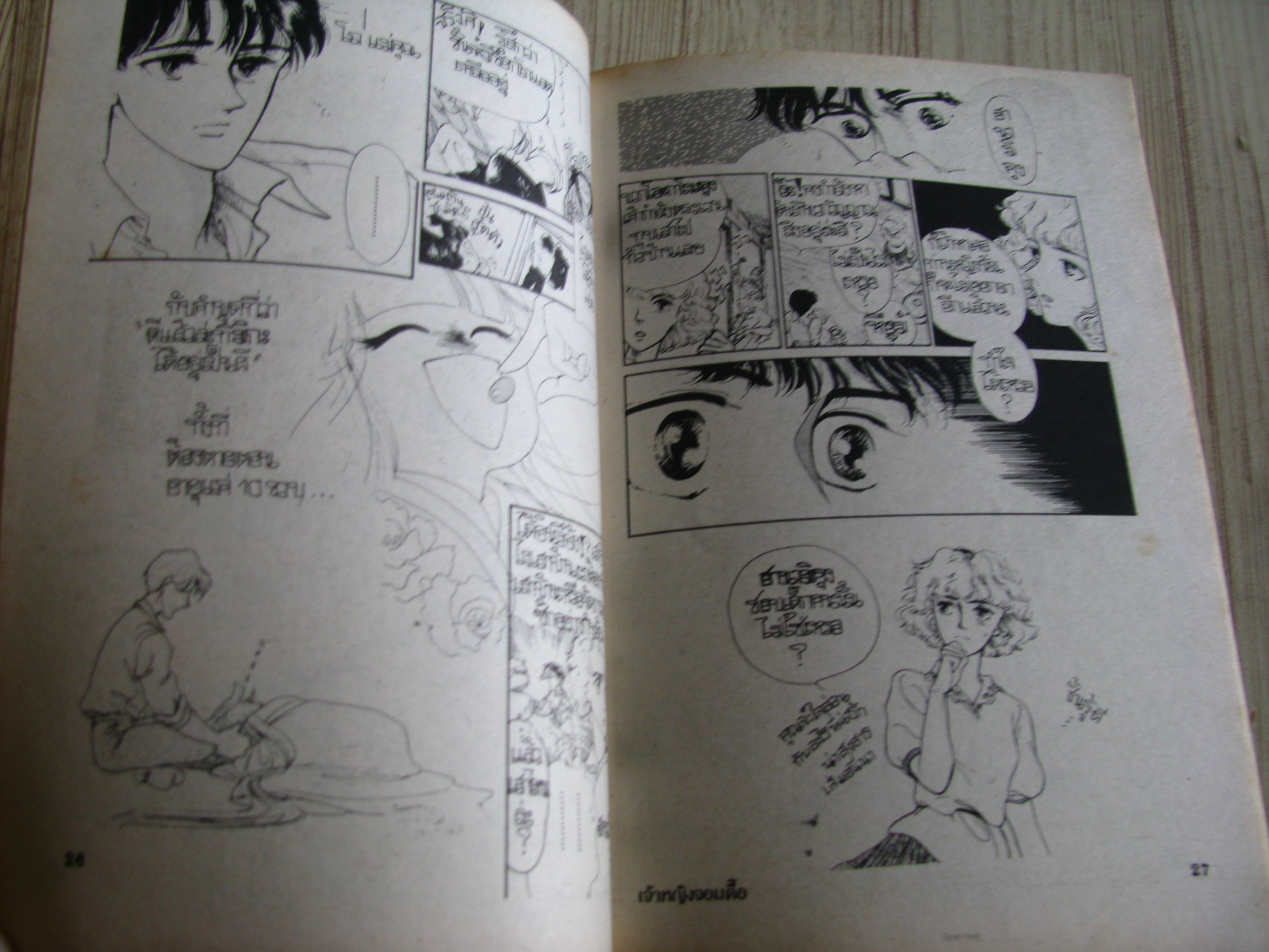 ่่่่เจ้าหญิงจอมตื้อ เล่มเดียวจบ