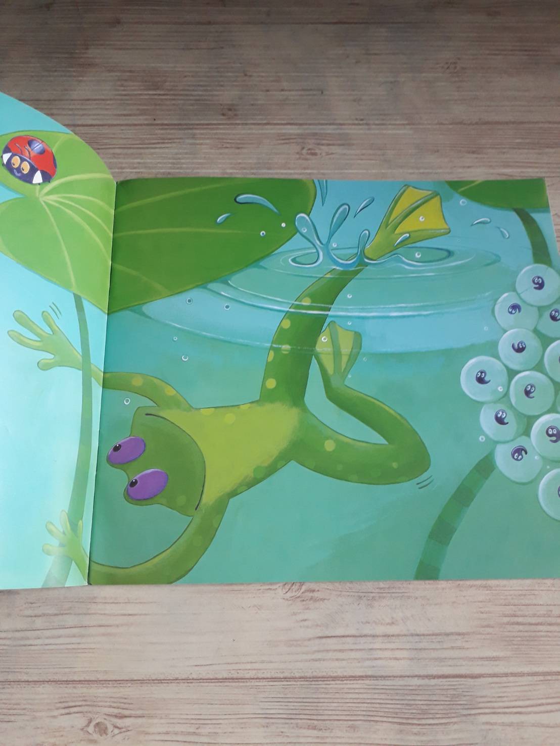 ลูกอ๊อดอยากกระโดด (The Teeny Weeny Tadpole) Sheridan Cain เรื่อง Jack Tickle ภาพ***สินค้าหมด***