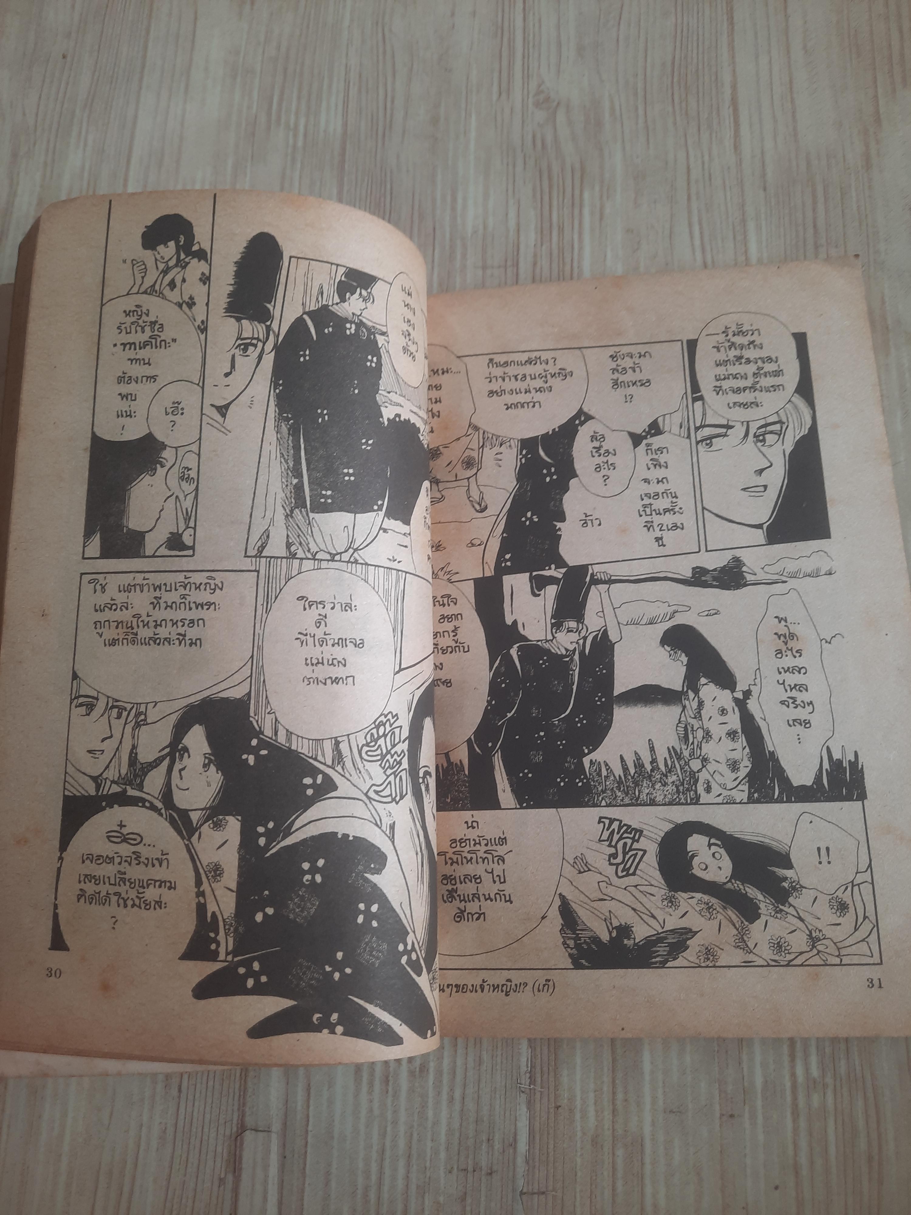 รักวุ่นๆ ของเจ้าหญิง (เก๊ ! ? )เล่มเดียวจบ