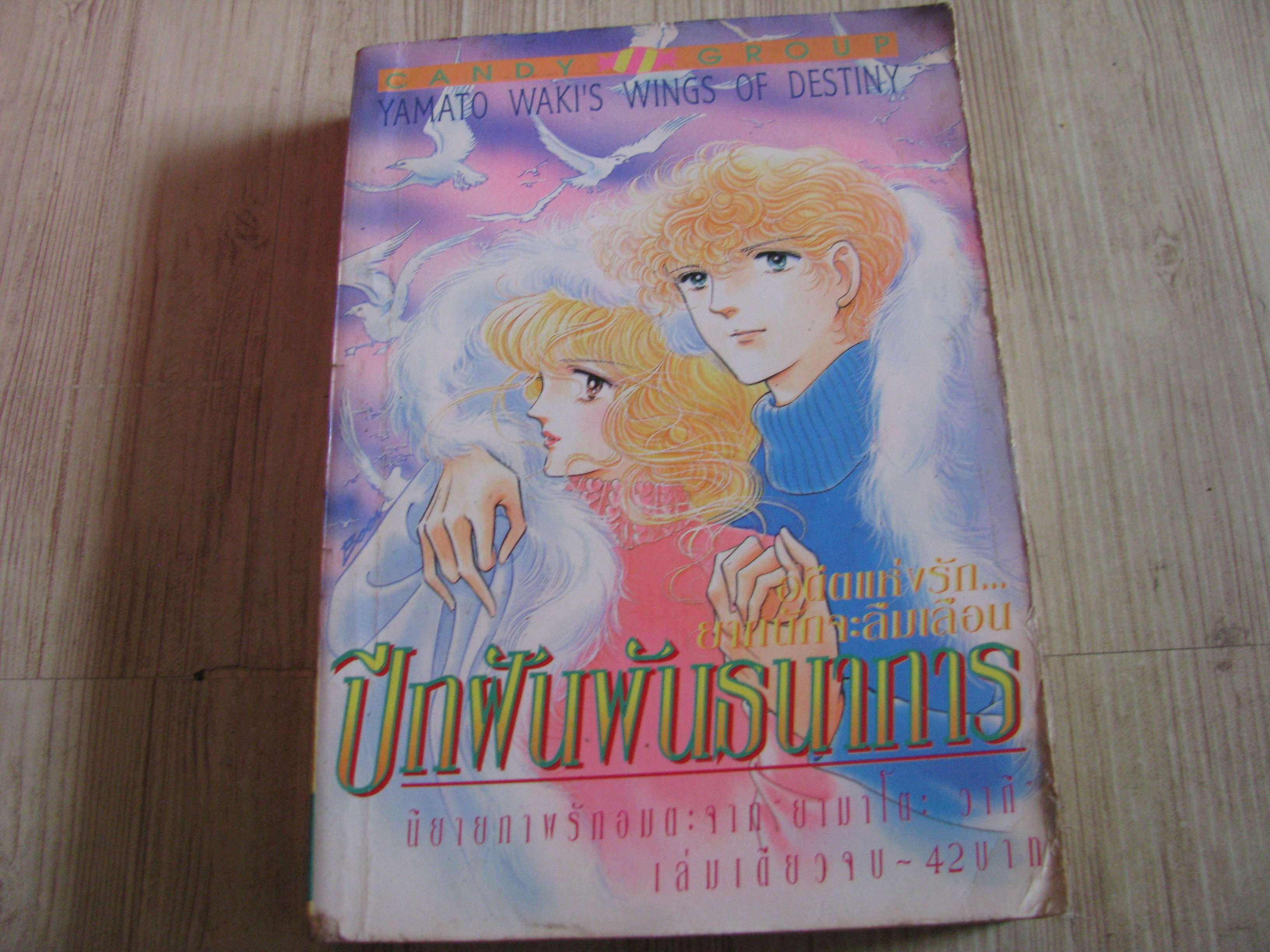 ปีกฝันพันธนาการ เล่มเดียวจบ ยามาโตะ วากิ เขียน***สินค้าหมด***