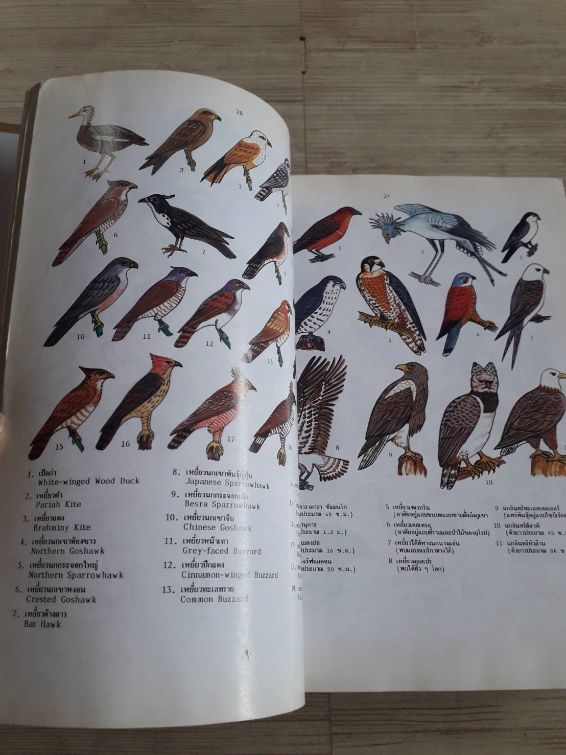 พจนานุกรมสัตว์และพืชในเมืองไทย ดร.วิทย์ เที่ยงบูรณธรรม เขียน (ปกแข็ง)***สินค้าหมด***