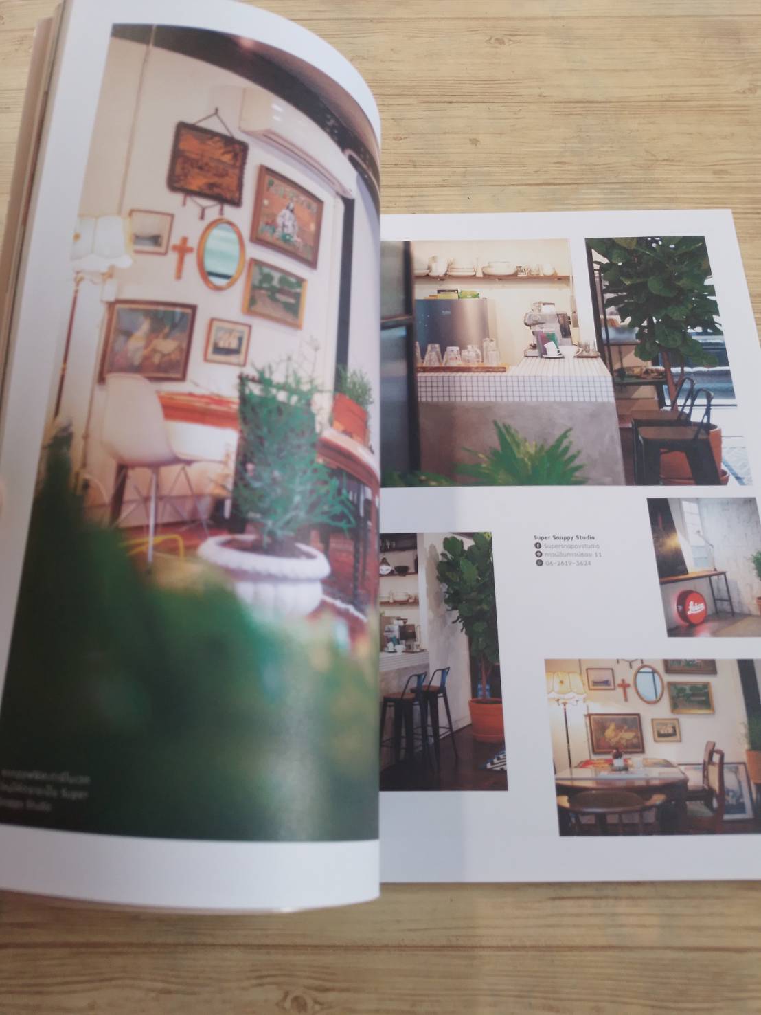 my home ฉบับที่ 99 Oct-Nov 2018 Mini Glasshouse โรงเรือนขนาดเล็กที่ใคร ๆ ก็มีได้