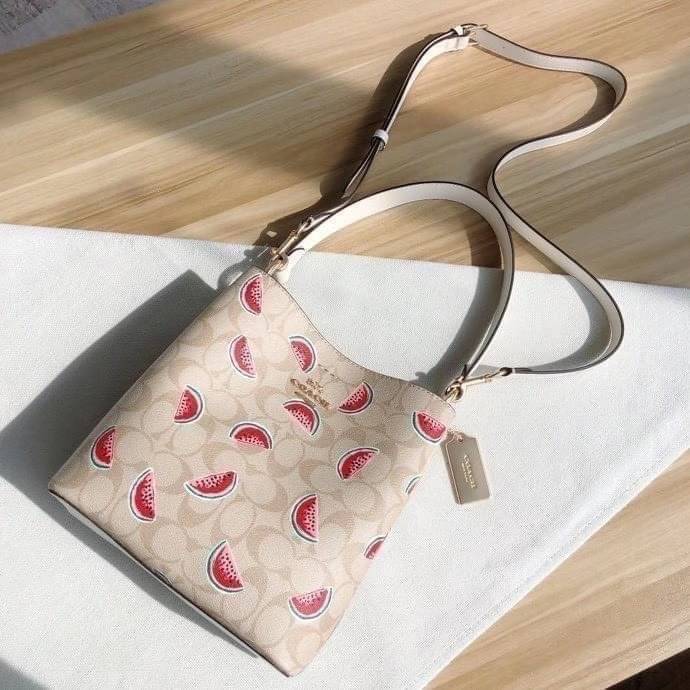 OUTTLET 】COACH SMALL TOWN BUCKET BAG IN SIGNATURE CANVAS WITH WATERMELON PRINT