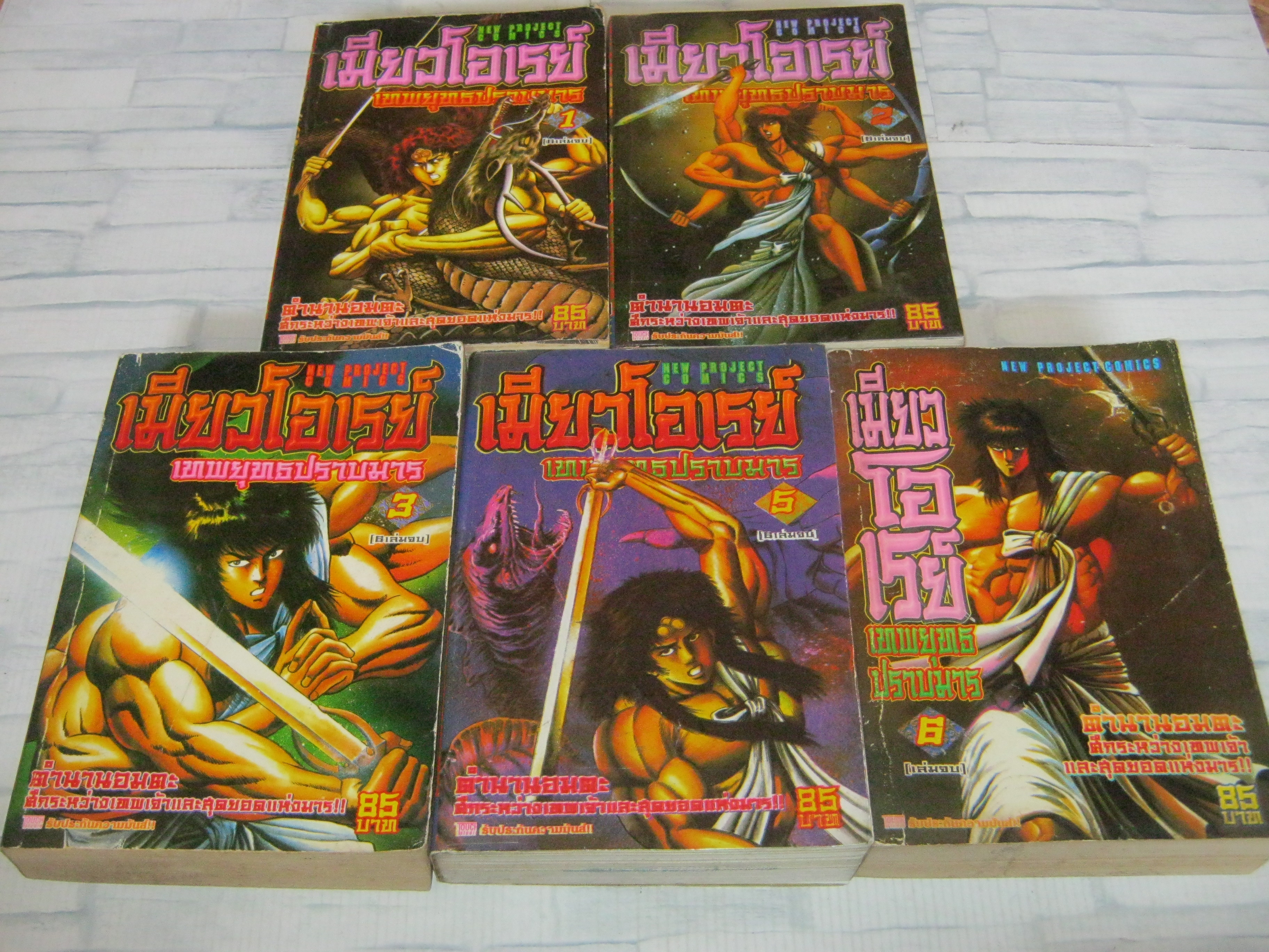 เมียวโอเรย์ ชุด เล่ม 1,2,3,5,6 ( 6 เล่มจบ ) ขาดเล่ม 4***สินค้าหมด***