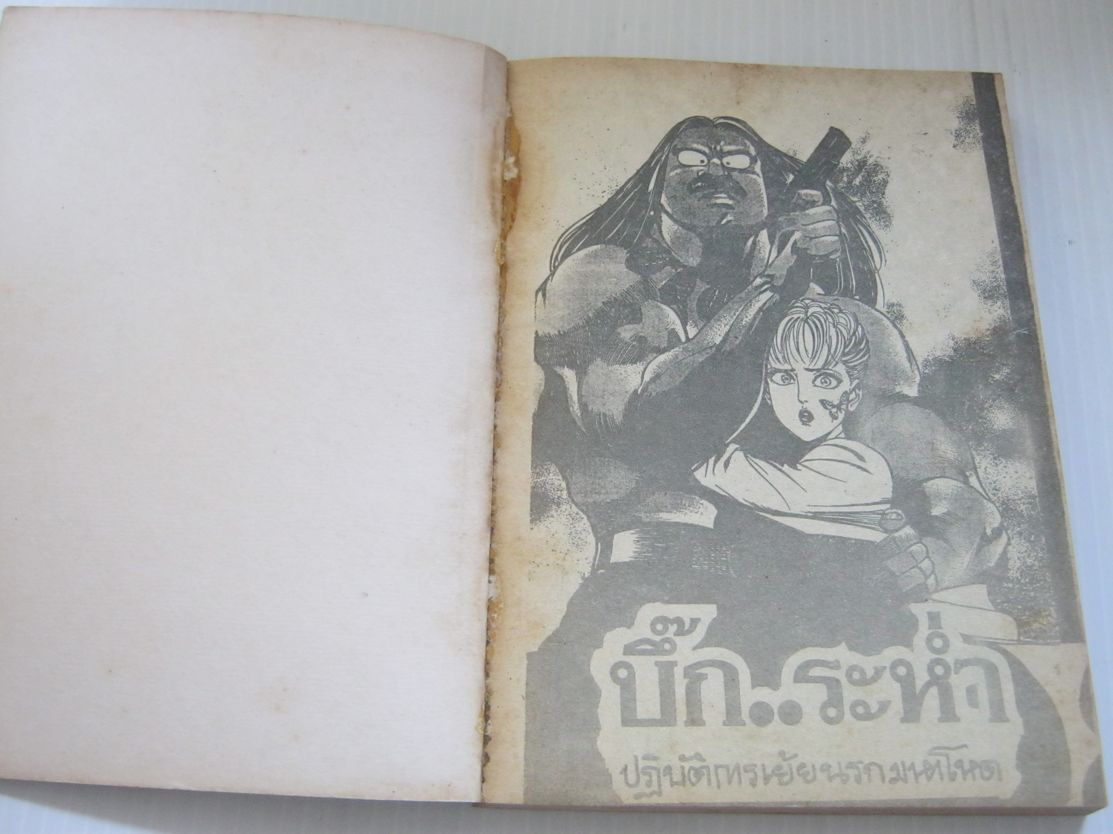 เหนือพยัคฆ์ จบในเล่ม