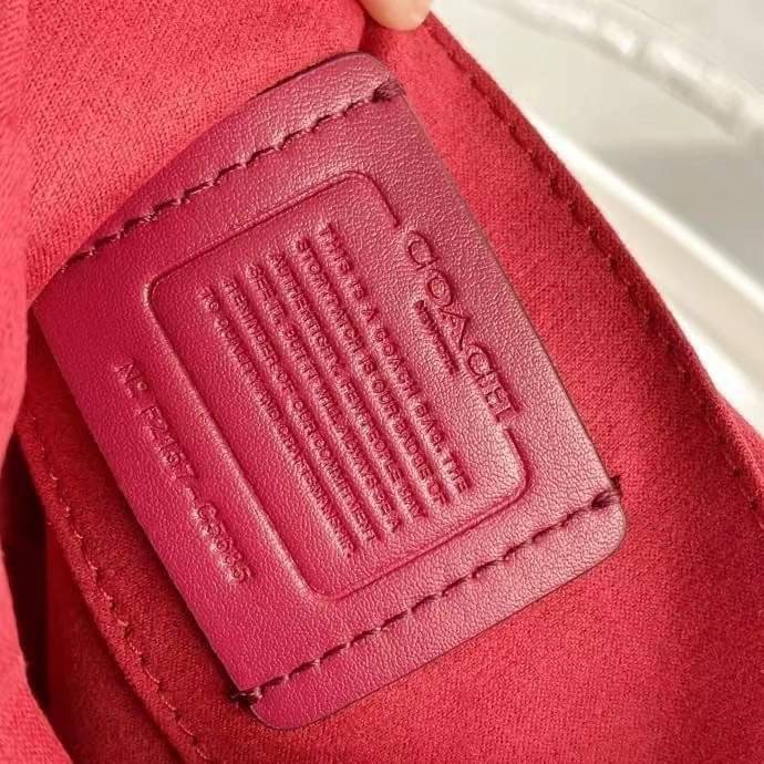 COACH KLEO SHOULDER BAG 17 (COACH C5685 C5687)