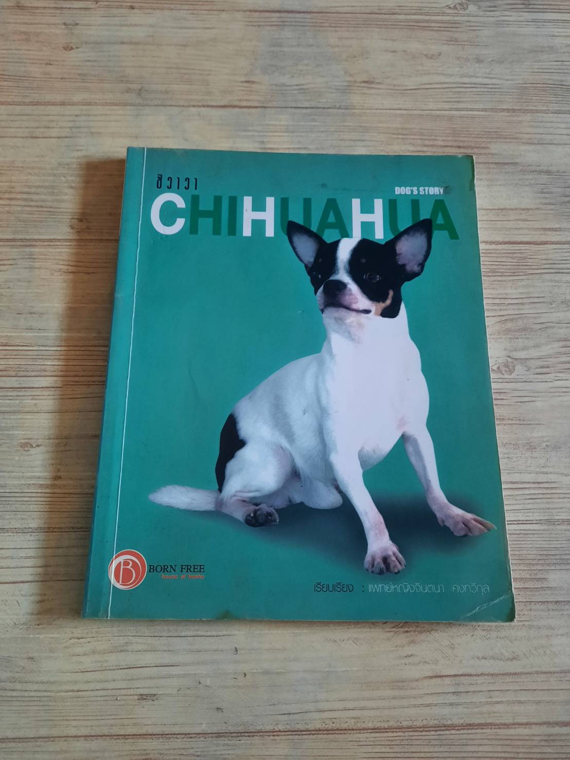 Dog's Story ชิวาวา (Chihuahua) โดย แพทย์หญิงจินตนา คงทวีกุล