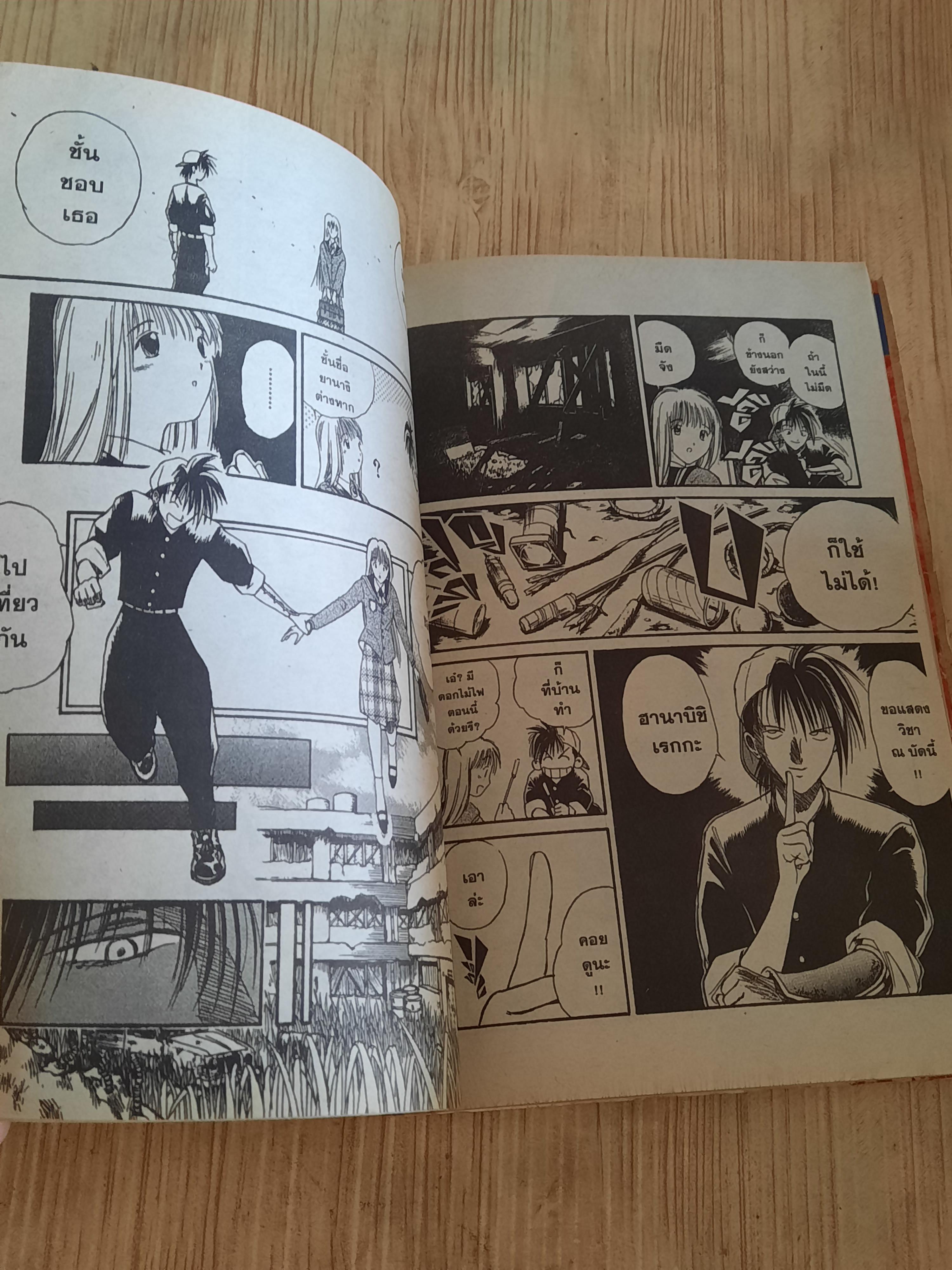 เปลวฟ้าผ่าปฐพี ชุด เล่ม 1-33 (ขาดเล่ม 2,31) 33 เล่มจบ สภาพสะสม