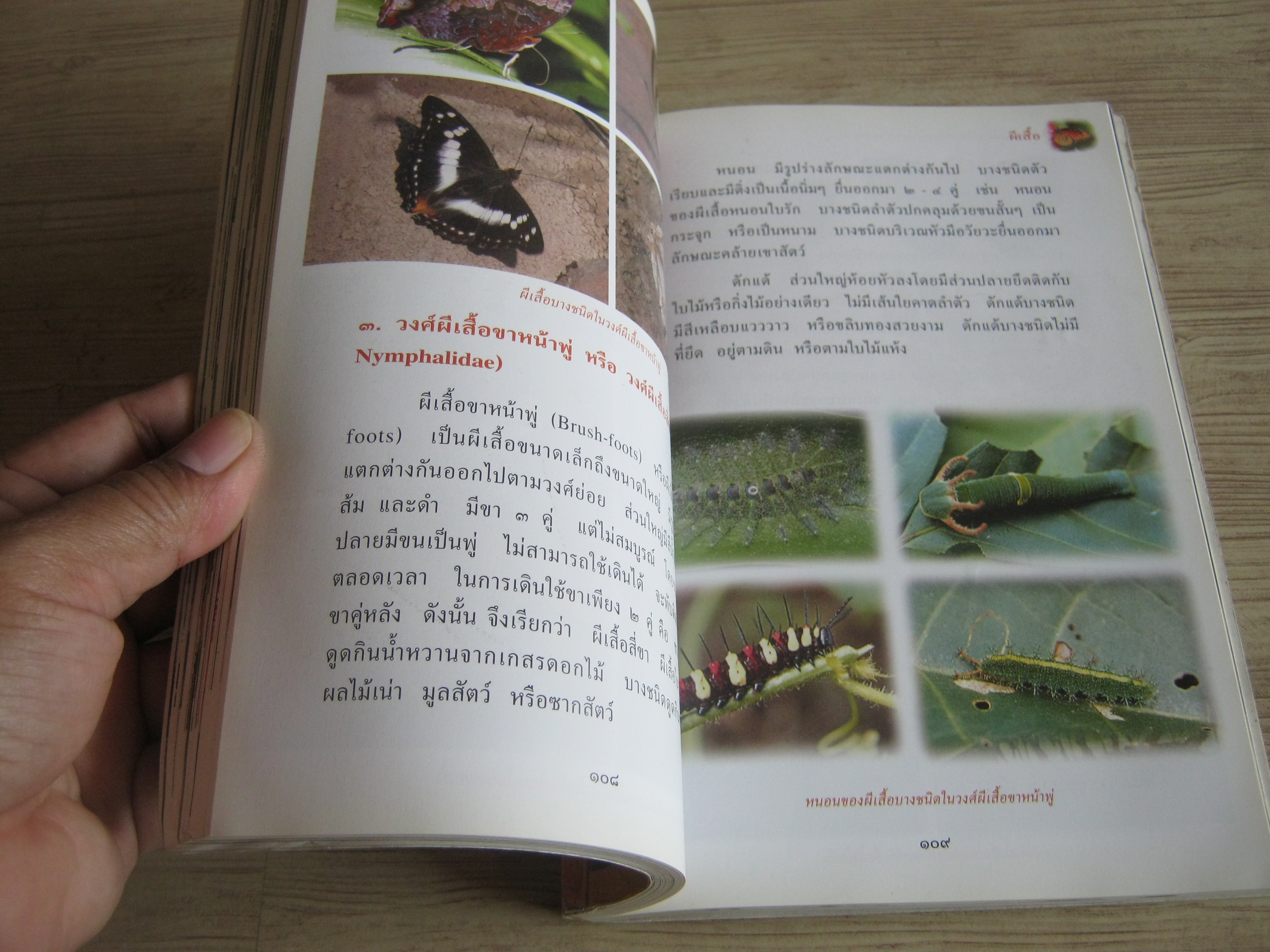 สารานุกรมไทยสำหรับเยาวชน ฉบับเสริมการเรียนรู้ เล่ม ๗ นก ผีเสื้อ ปลาสวยงาม