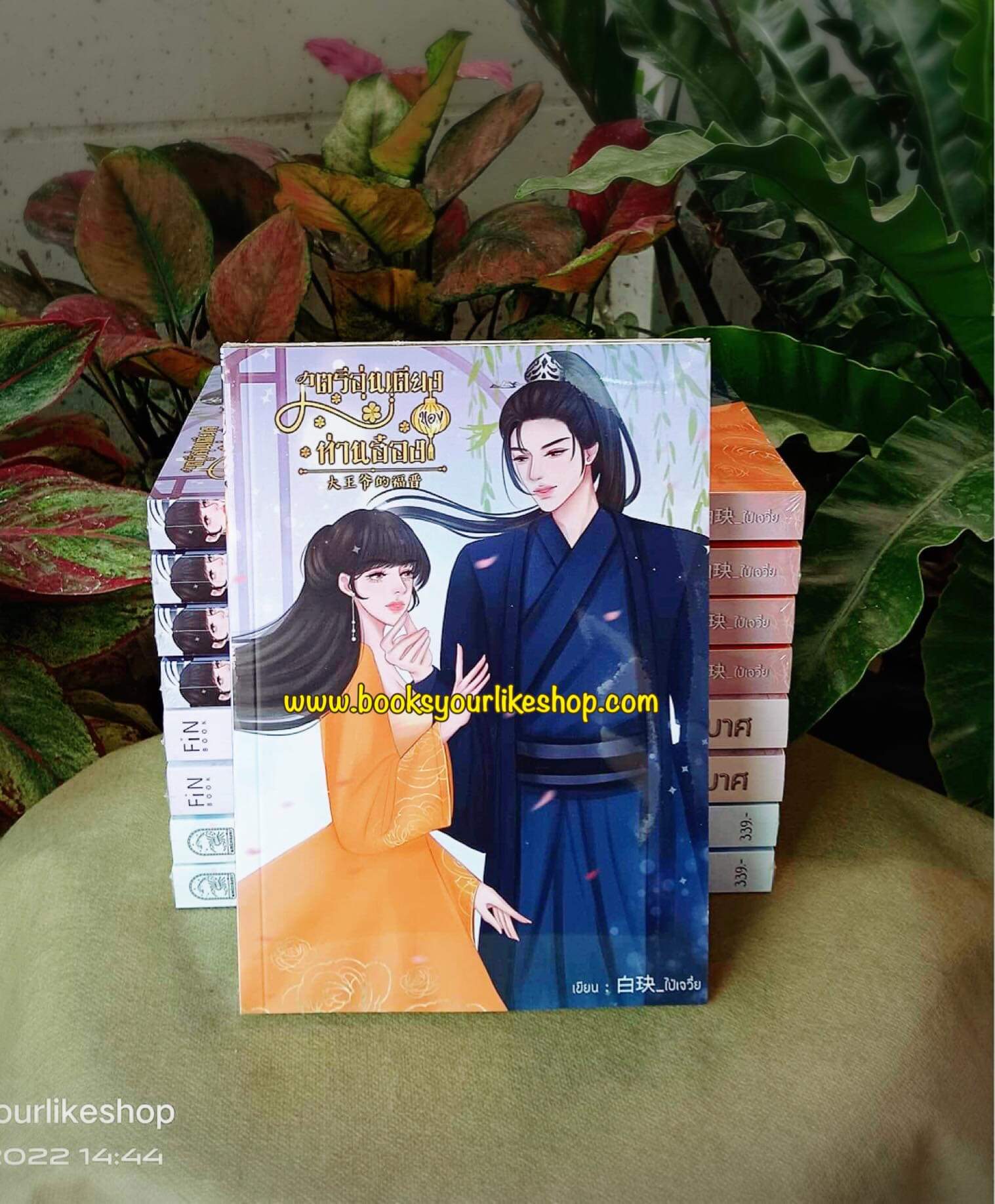 สตรีอุ่นเตียงของท่านอ๋อง,ผู้แต่ง,ไป๋เจวี๋ย,นิยายรักทำมือจีนโบราณ แนะนำค่ะ