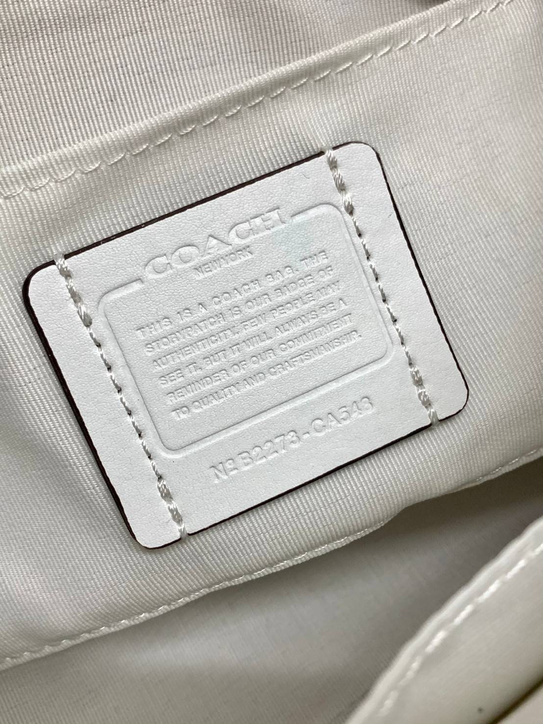 พร้อมส่งครบสี สวยทุกสีเลยค่า😘 ((CA173//CA209//CA548)) COACH TERI SHOULDER BAG 🔹กระเป๋าทรงพอช ในรูปแบบหนังแท้ หนังนิ่มสวยมากค่ะ