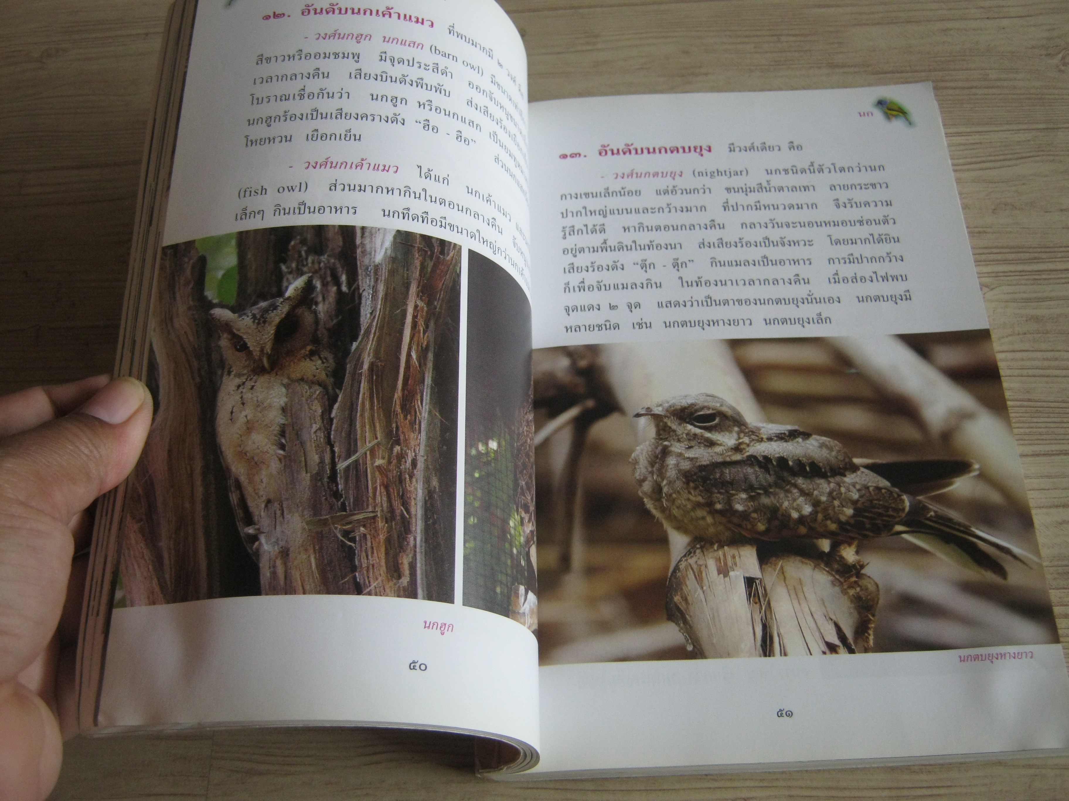 สารานุกรมไทยสำหรับเยาวชน ฉบับเสริมการเรียนรู้ เล่ม ๗ นก ผีเสื้อ ปลาสวยงาม