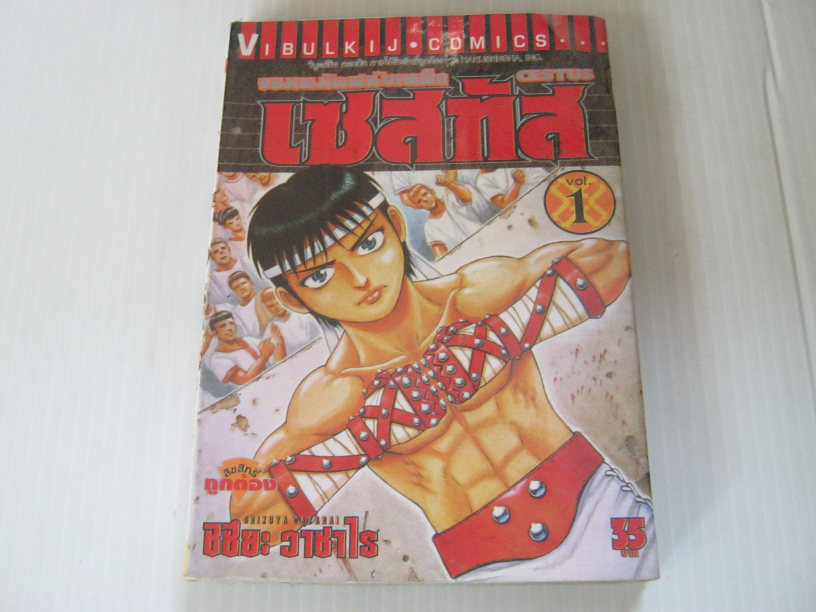 จอมหมัดสนับเหล็กเซสทัส ครบชุด 15 เล่มจบ ชิซึยะ วาซาไร เขียน