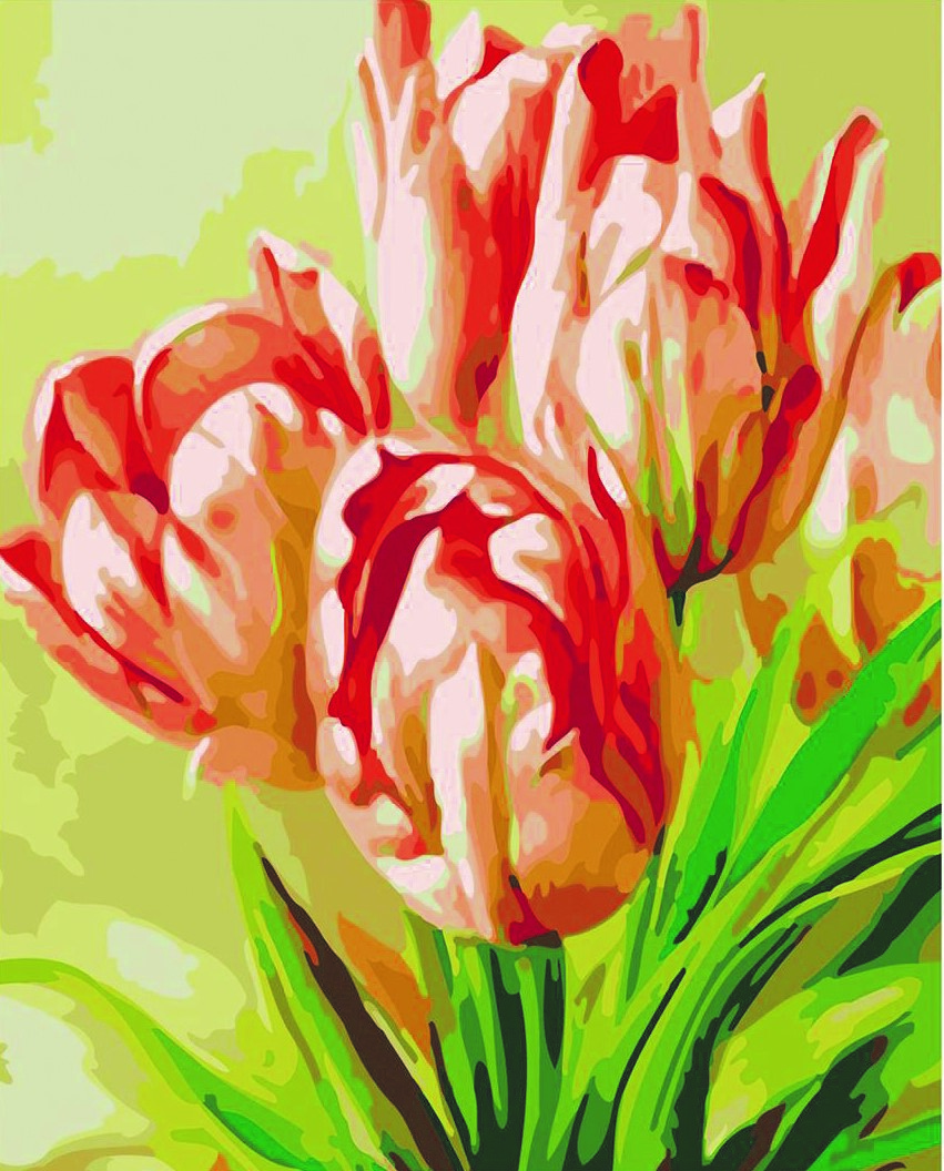 CE4554 ภาพระบายสีตามตัวเลข "พุ่มดอกทิวลิป"