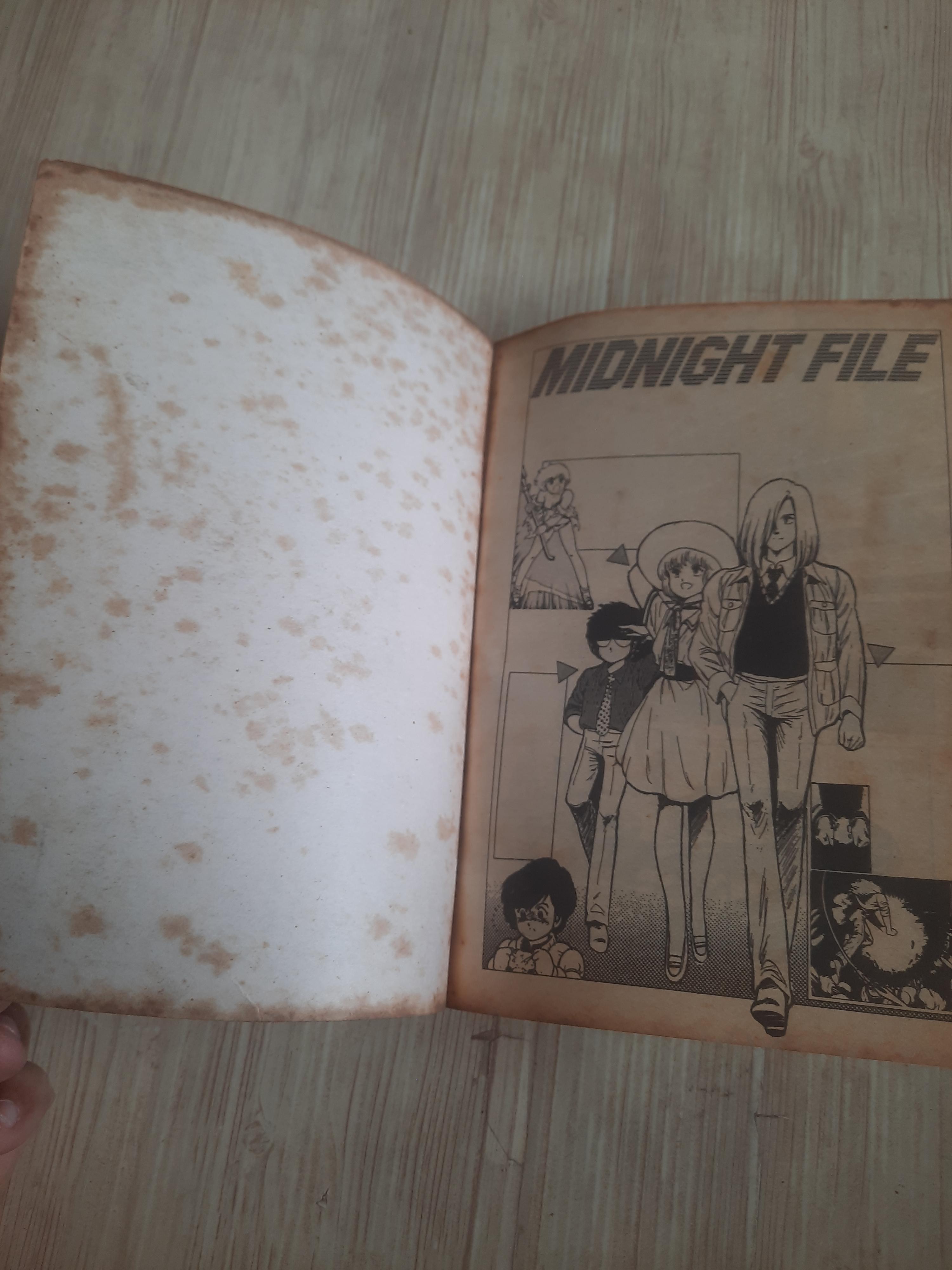 MIDNIGHT FILE เล่มเดียวจบ