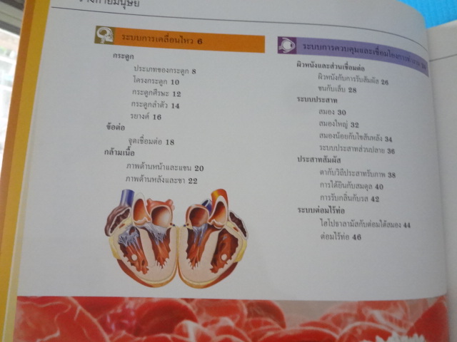ร่างกายมนุษย์ GRAND ATLAS OF HUMAN BODY ปกแข็ง