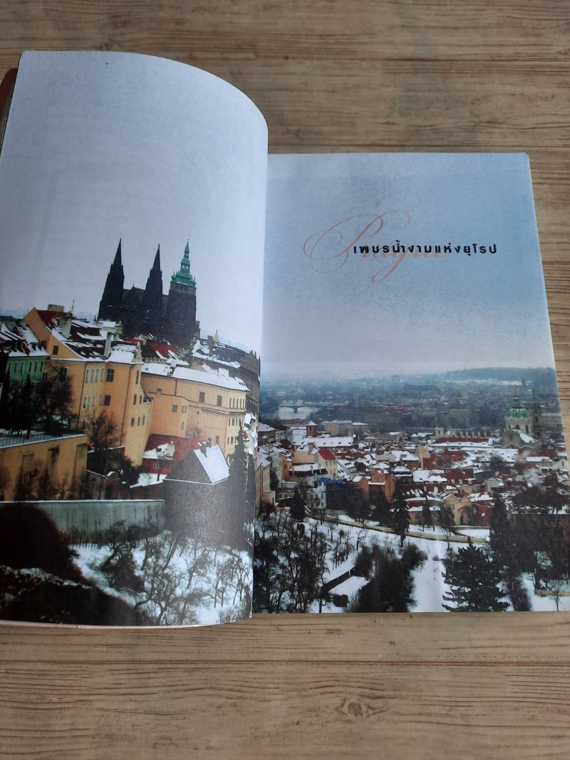 ปรากในรอยหนาว เนตรนภา แก้วแสงธรรม เขียน ปิยนันท์ เกียรตินฤยุทธ์ ภาพ***สินค้าหมด***