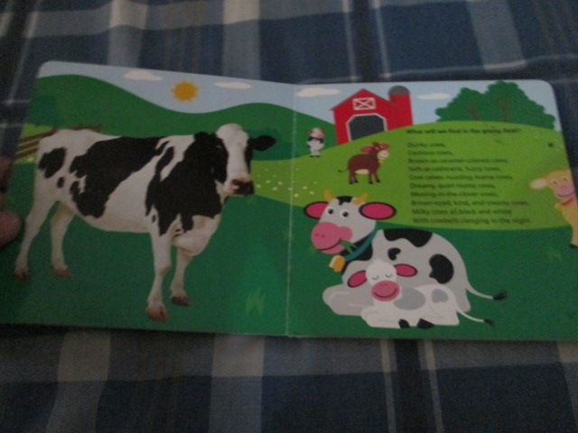 Baby Einstein: Baby MacDonald on the Farm หนังสือเสริมพัฒนาการด้านภาษาอังกฤษมือสอง