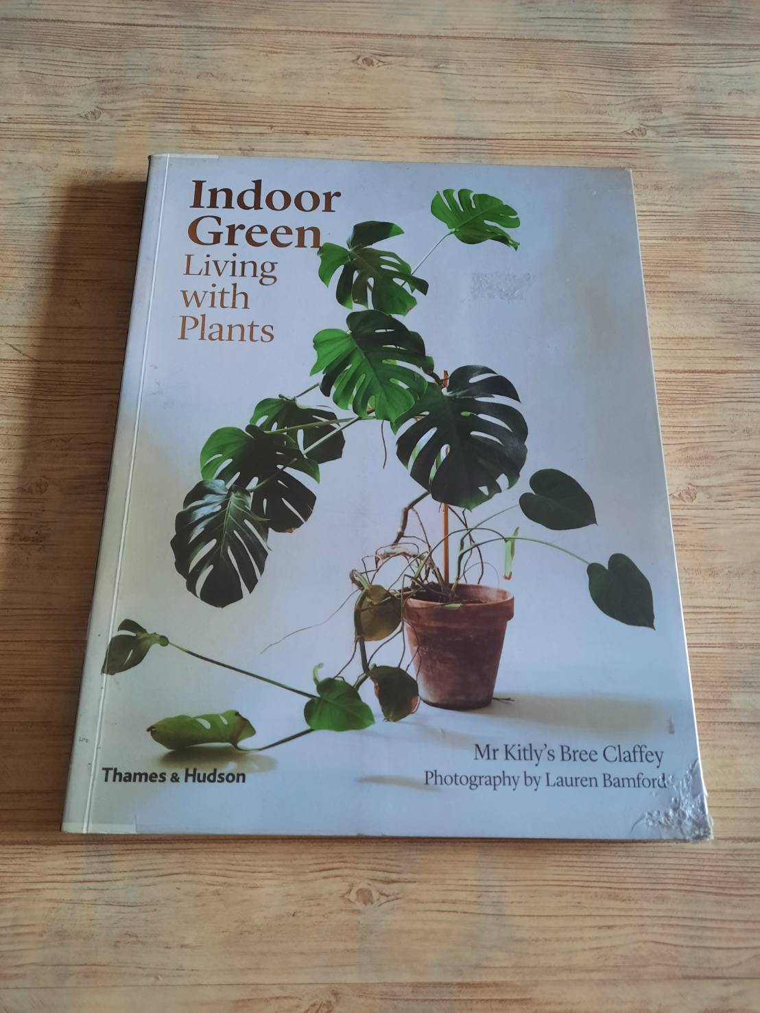 Indoor Green Living with Plants By Mr.Kitly's Bree Claffey Photography By Lauren Barnford