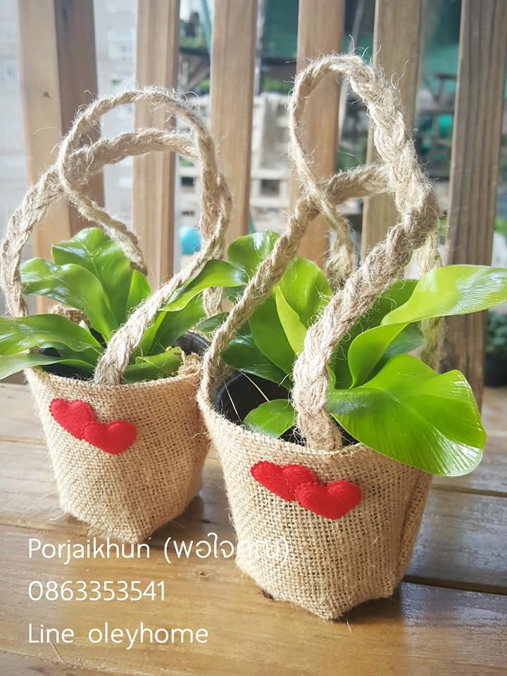 ของชำร่วยต้นไม้ใส่ถุงผ้ากระสอบหูหิ้วเชือกเปียแต่งหัวใจคู่
