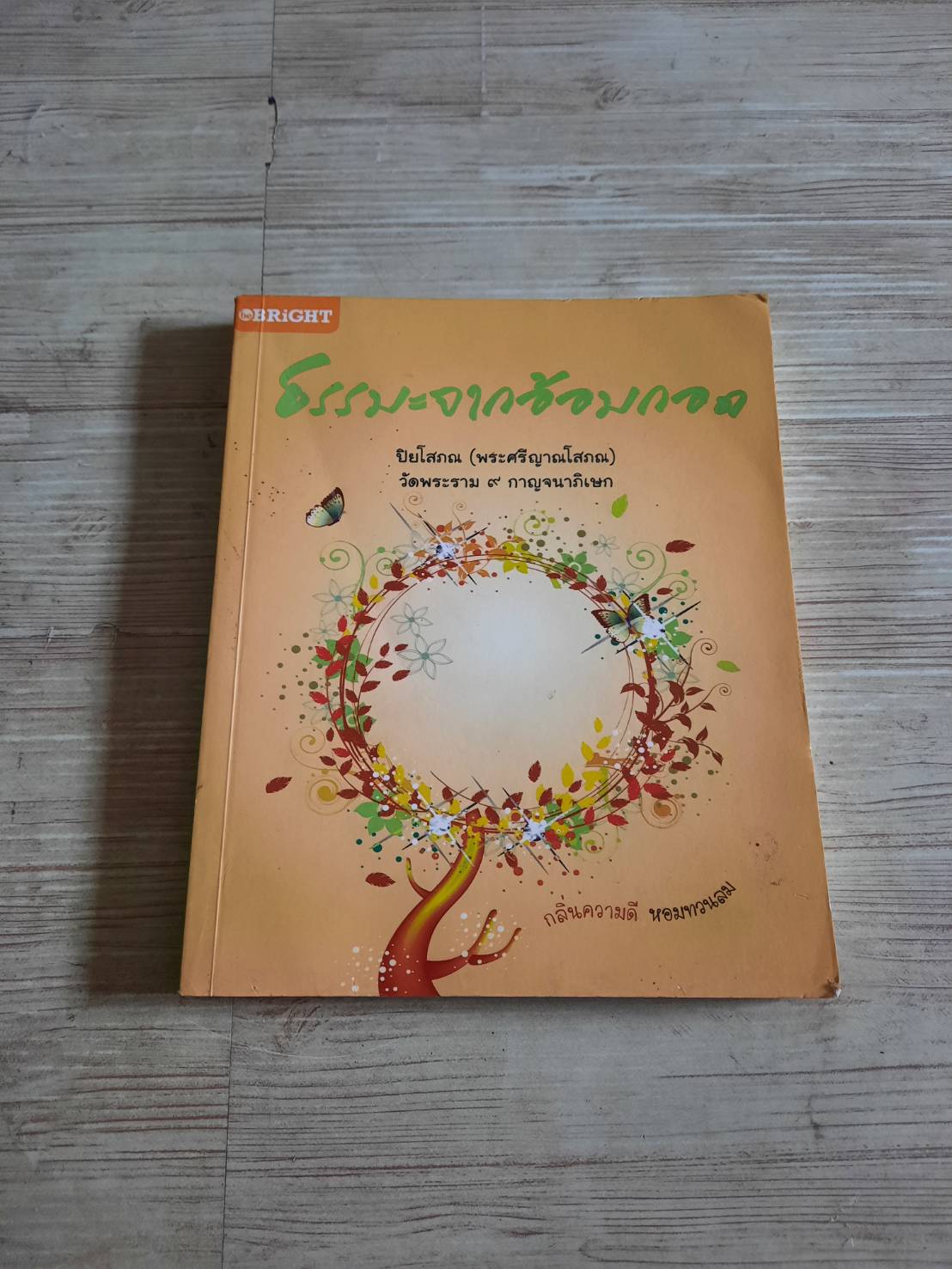 ธรรมะจากอ้อมกอด ปิยโสภณ (พระศรีญาณโสภณ วัดพระราม ๙ กาญจนาภิเษก เขียน