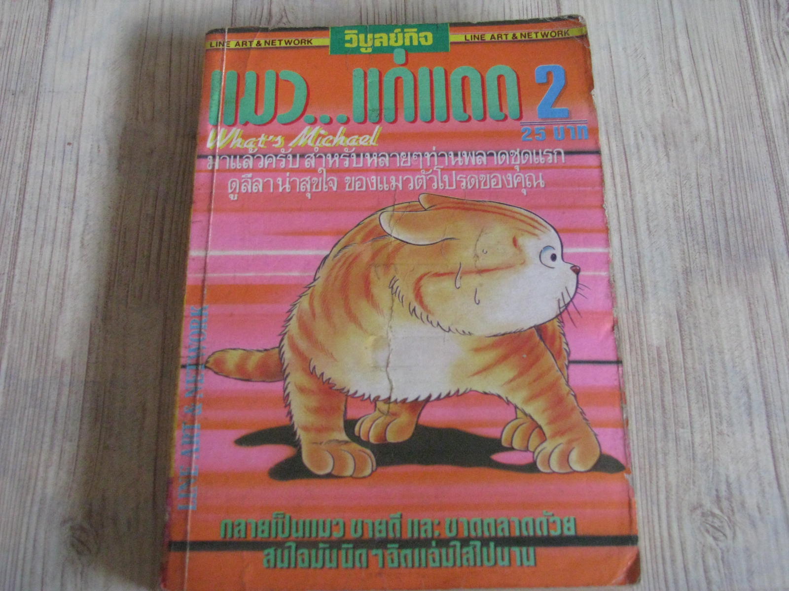 แมวแก่แดด เล่ม 2***สินค้าหมด***