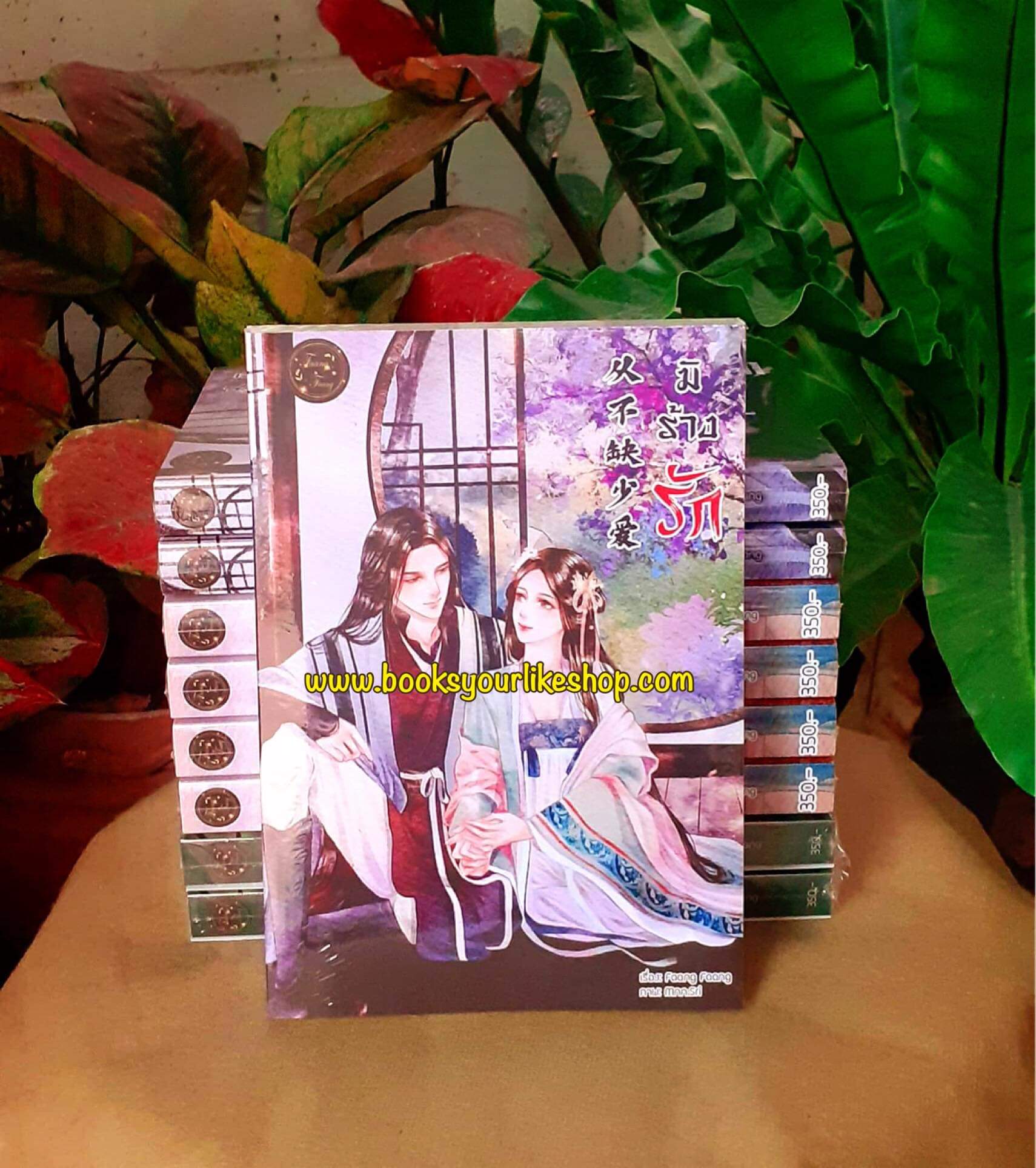 มิร้างรัก,ผู้แต่ง,FaangFaang,นิยายรักทำมือจีนโบราณ แนะนำค่ะ