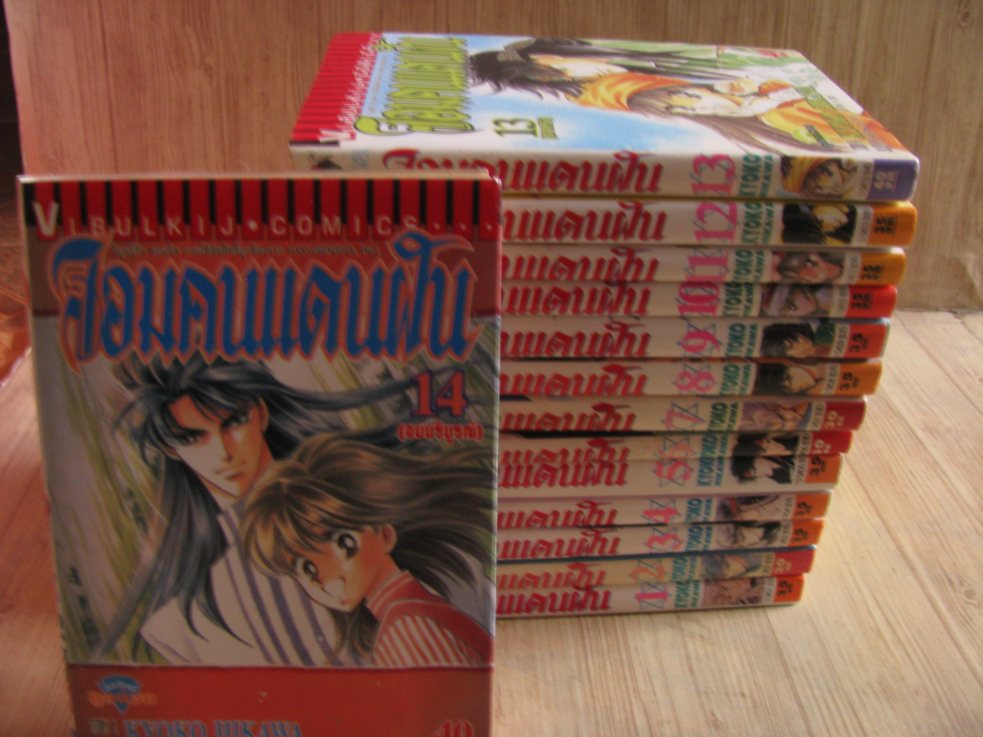 จอมคนแดนฝัน ครบชุด 14 เล่มจบ เคียวโกะ อิคาวะ เขียน (สภาพหนังสือบ้าน)