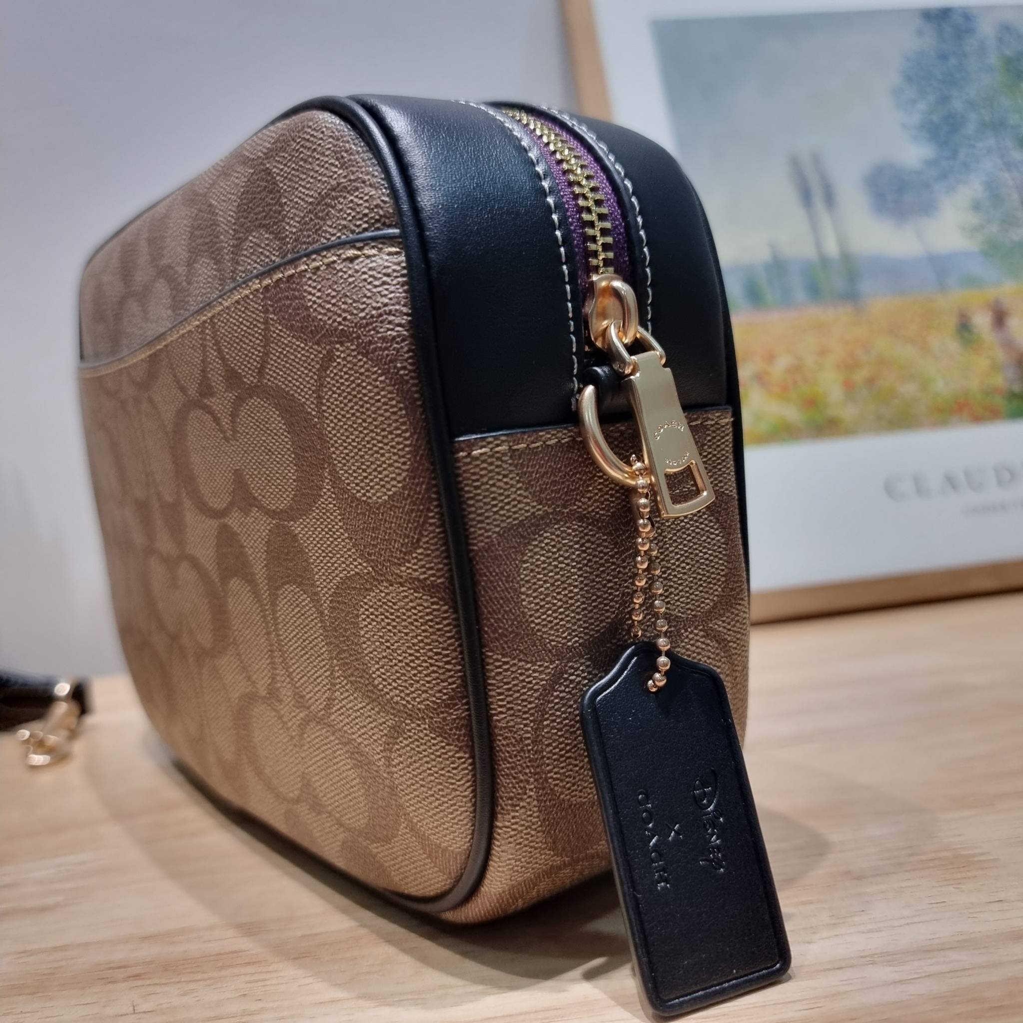 Coach Disney X Coach Jamie Camera Bag In Signature Canvas With Patches CC151 คอลใหม่ เอาใจสายยัยตัวร้าย ดีไซน์รวมเหล่าตัวแสบจากดิสนีย์ กับกระเป๋าสะพายข้าง สวยอยู่ทรง โดดเด่นด้วยลวดลายบนผืนหนัง วัสดุหนังแคนวาสตัดสลับหนังแท้ เปิด-ปิดด้วยซิป ใช้งานง่าย ดูผู้