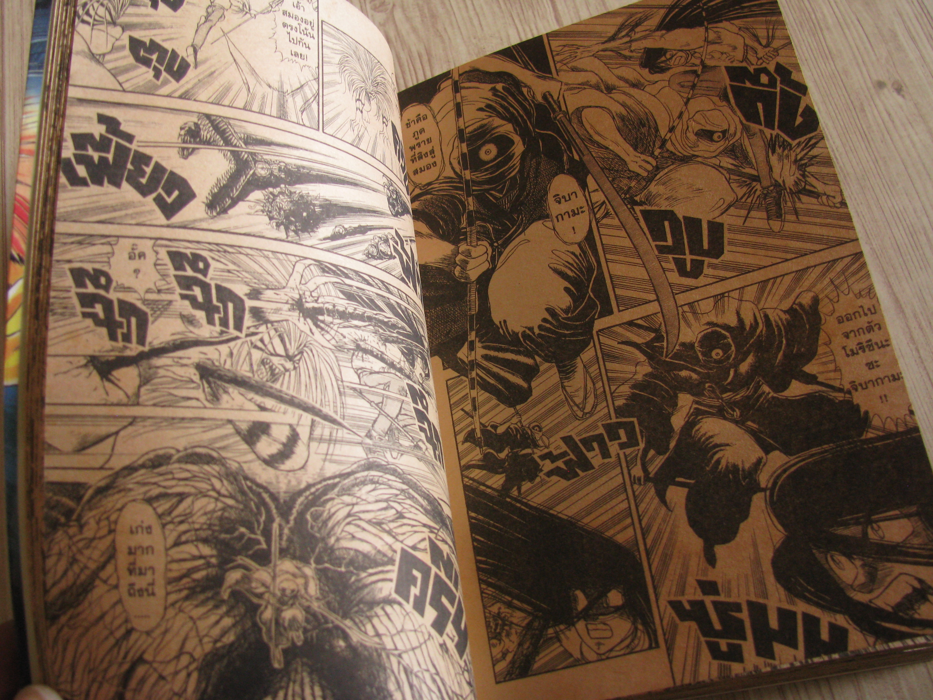 ล่าอสูรกาย ชุด เล่ม 10-27 + ภาคพิเศษ (ขาดเล่ม 24) สถาพหนังสือบ้าน