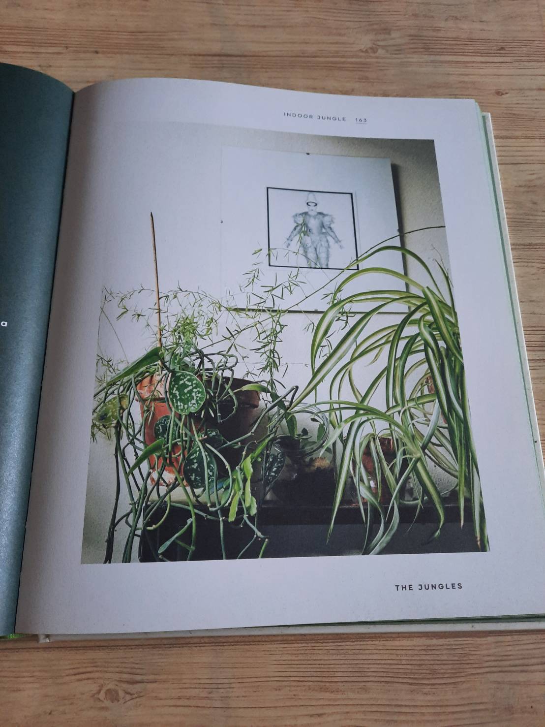 The Leaf Supply Guide to Greating Your Indoor Jungle By Lauren Comilleri + Sophia Kaplan (ปกแข็ง)