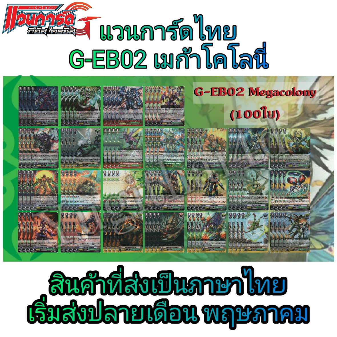 แวนการ์ด VGT-G-EB02 G-EB03 แบบยกกล่อง และแยกใบGR/ZR ขายดี