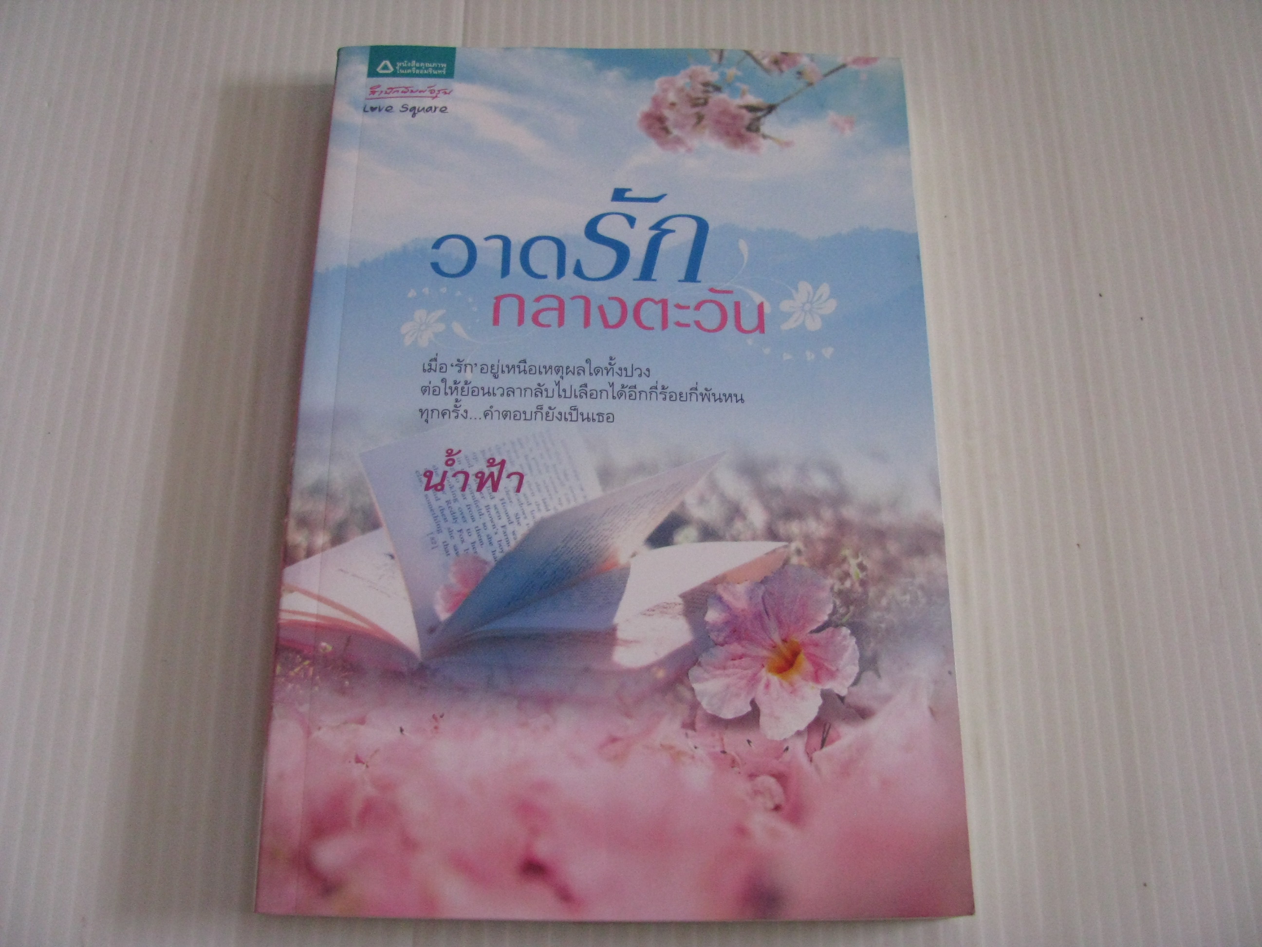 วาดรักกลางตะวัน น้ำฟ้า เขียน