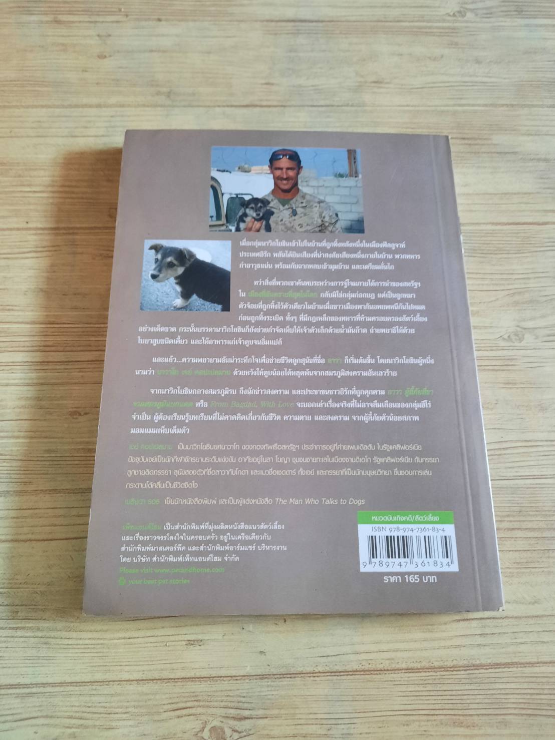 ลาวา ผู้ลี้ภัยสี่ขาจากสมรภูมิแบกแดด นาวาโท เจย์ คอปเปลมาน เขียน ประภาคาร แปล