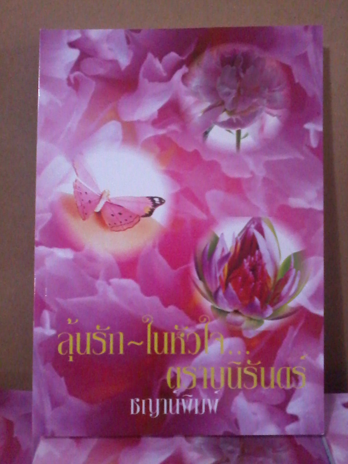 ลุ้นรักในหัวใจตราบนิรันดร์/ชญาน์พิมพ์ ทำมือตอนพิเศษ